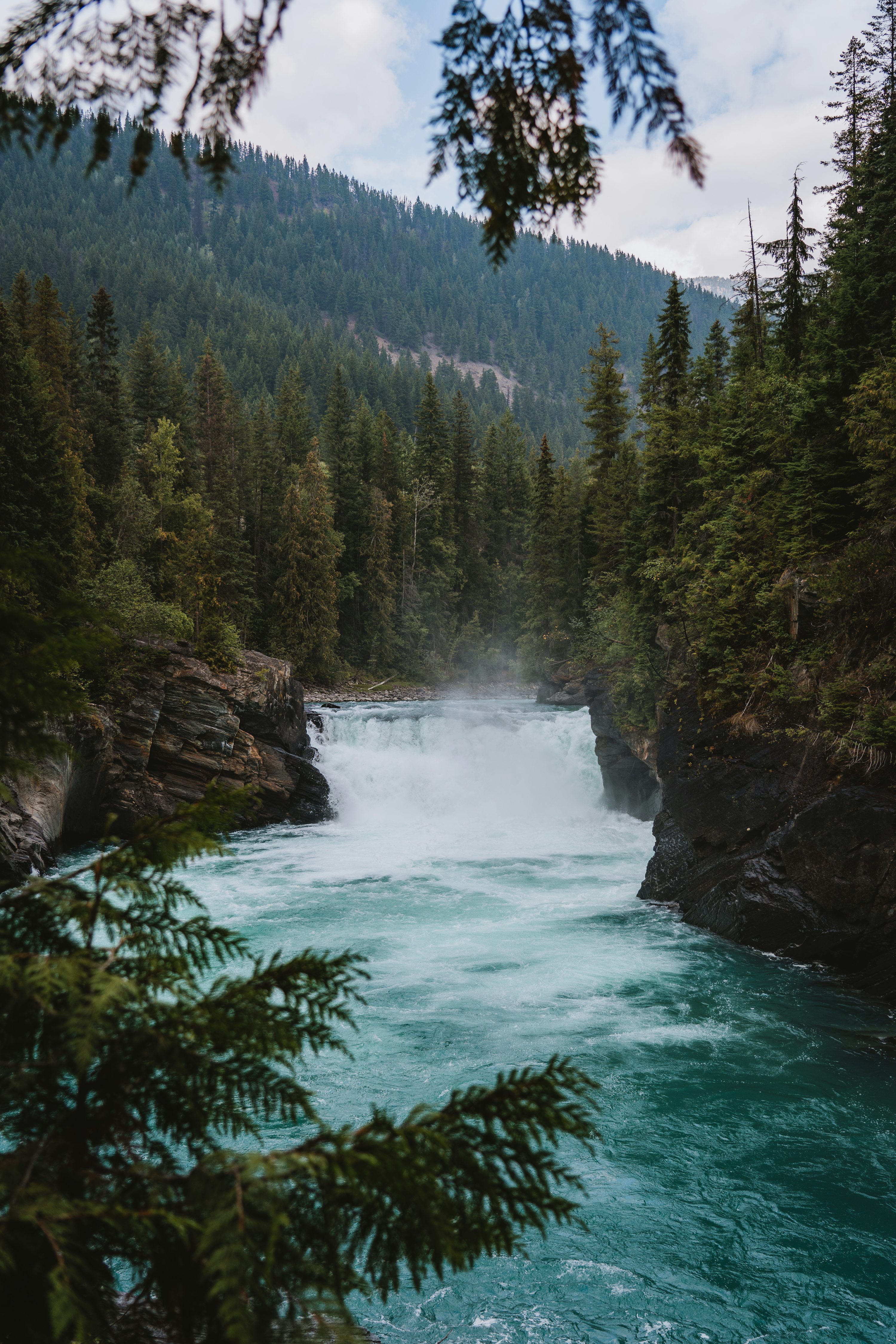3000x4500 A river flowing through a forest with Bow Falls in the background photo