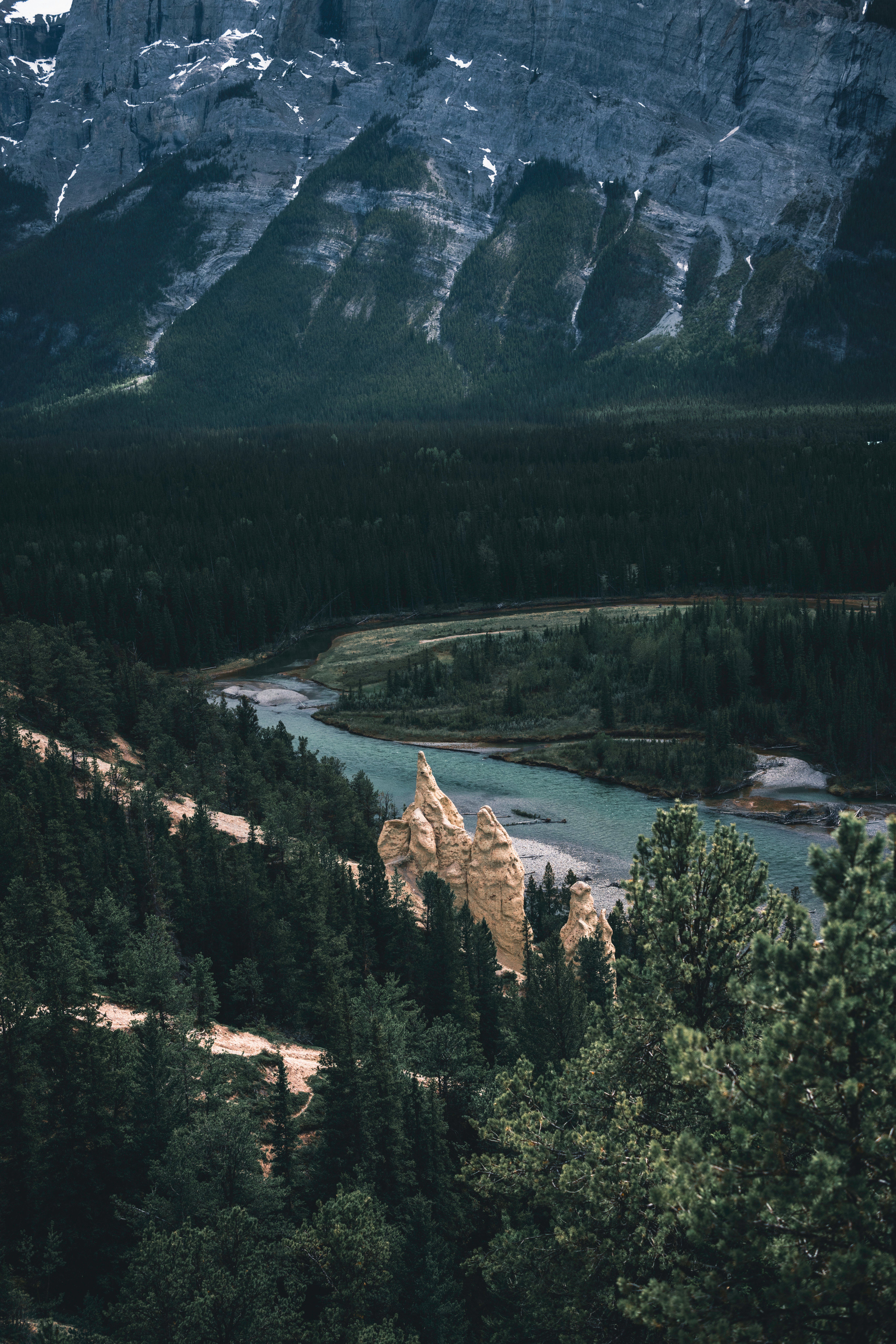 5464x8192 Forest and River in Valley in Mountains · Free