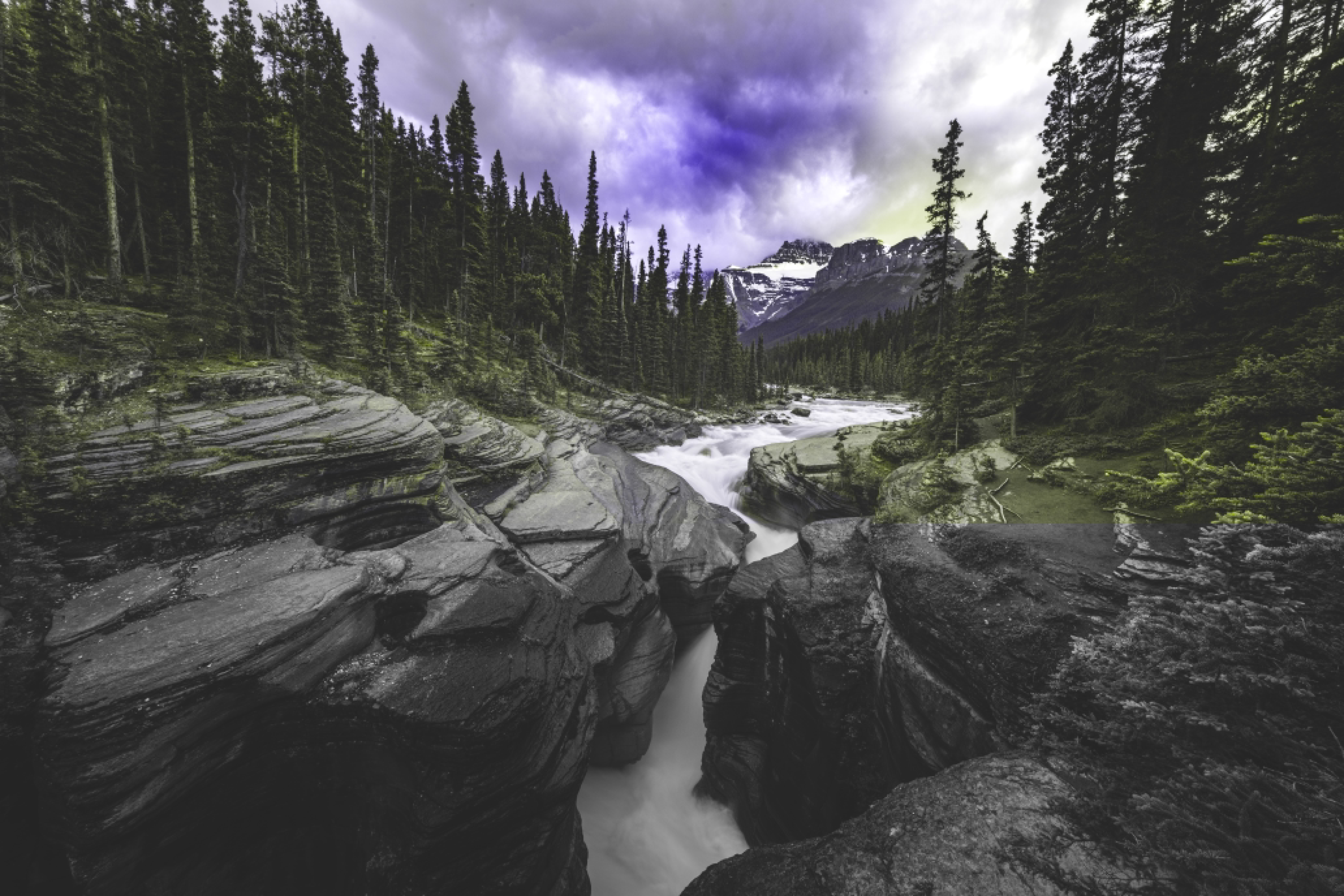 8256x5504 Wallpaper Banff National Park, Yoho National Park Of Canada, Bow River Trail, Cloud, Plant, Background Free Image