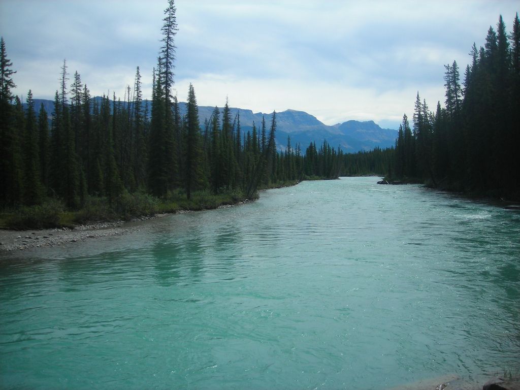 1024x768 Upper reaches of the Bow River, Alberta