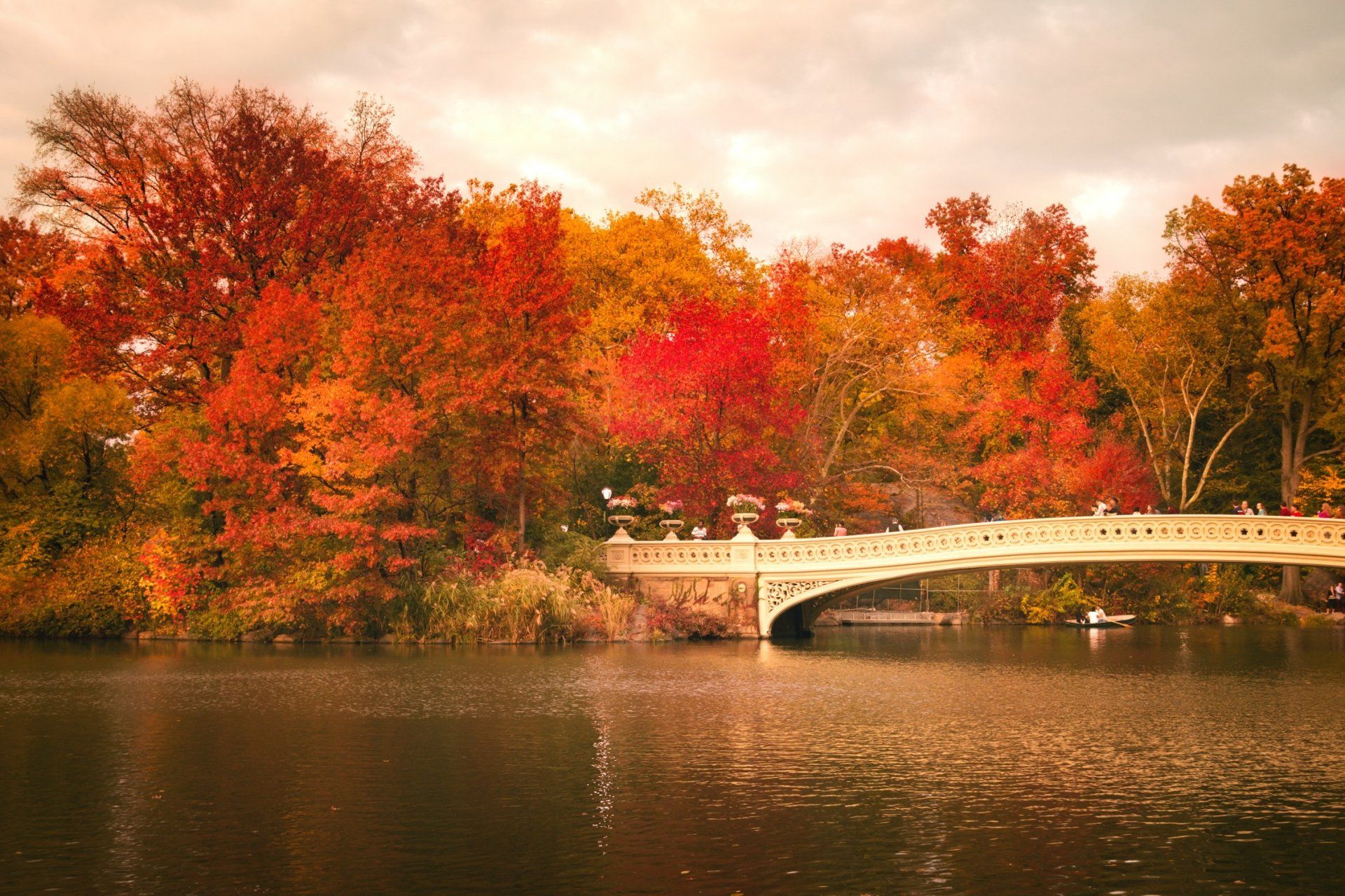 1920x1280 Download Bow Bridge River Fall Bridge Man Made Central Park HD Wallpaperx1499