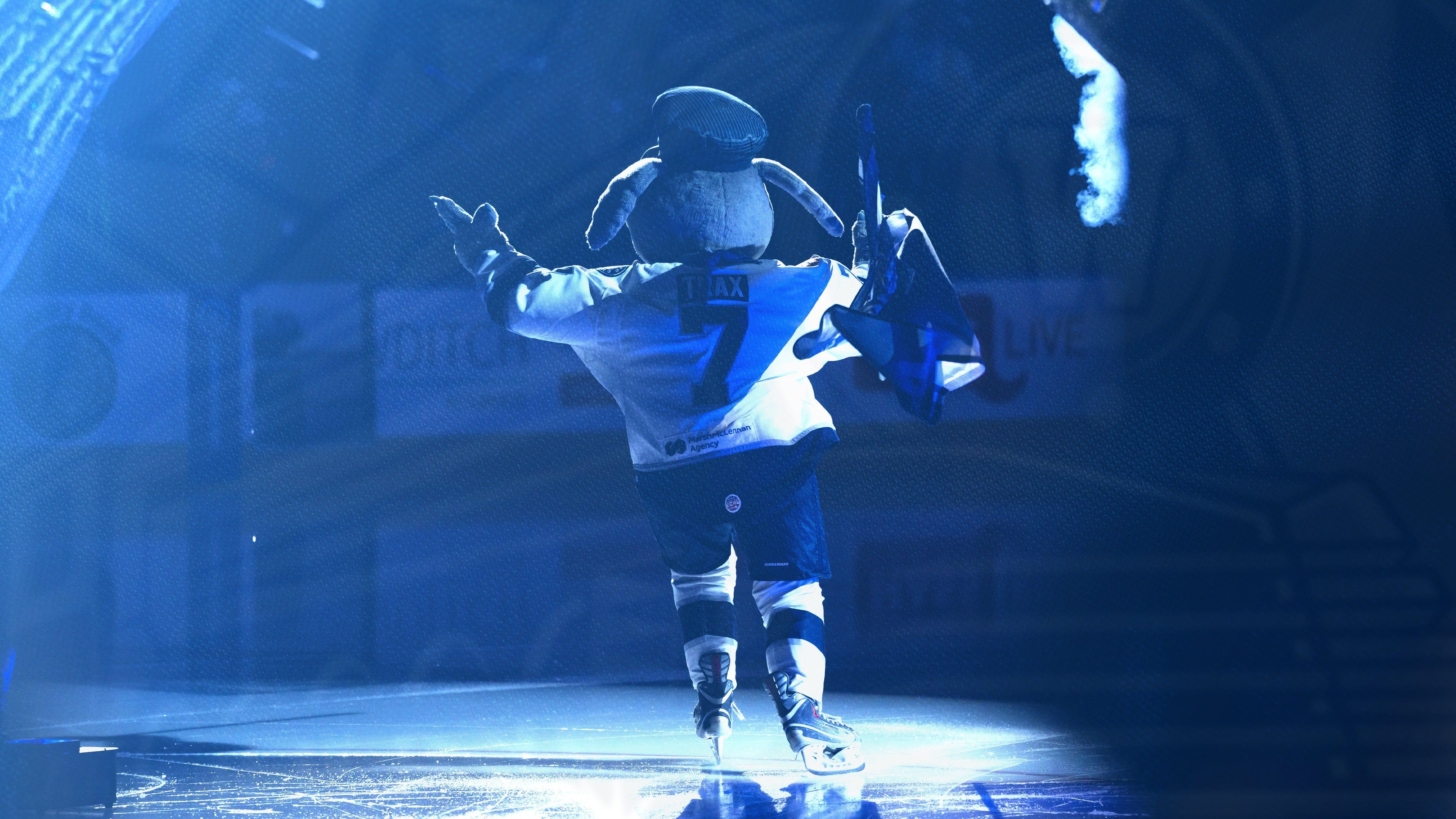 3840x2160 Worcester Railers