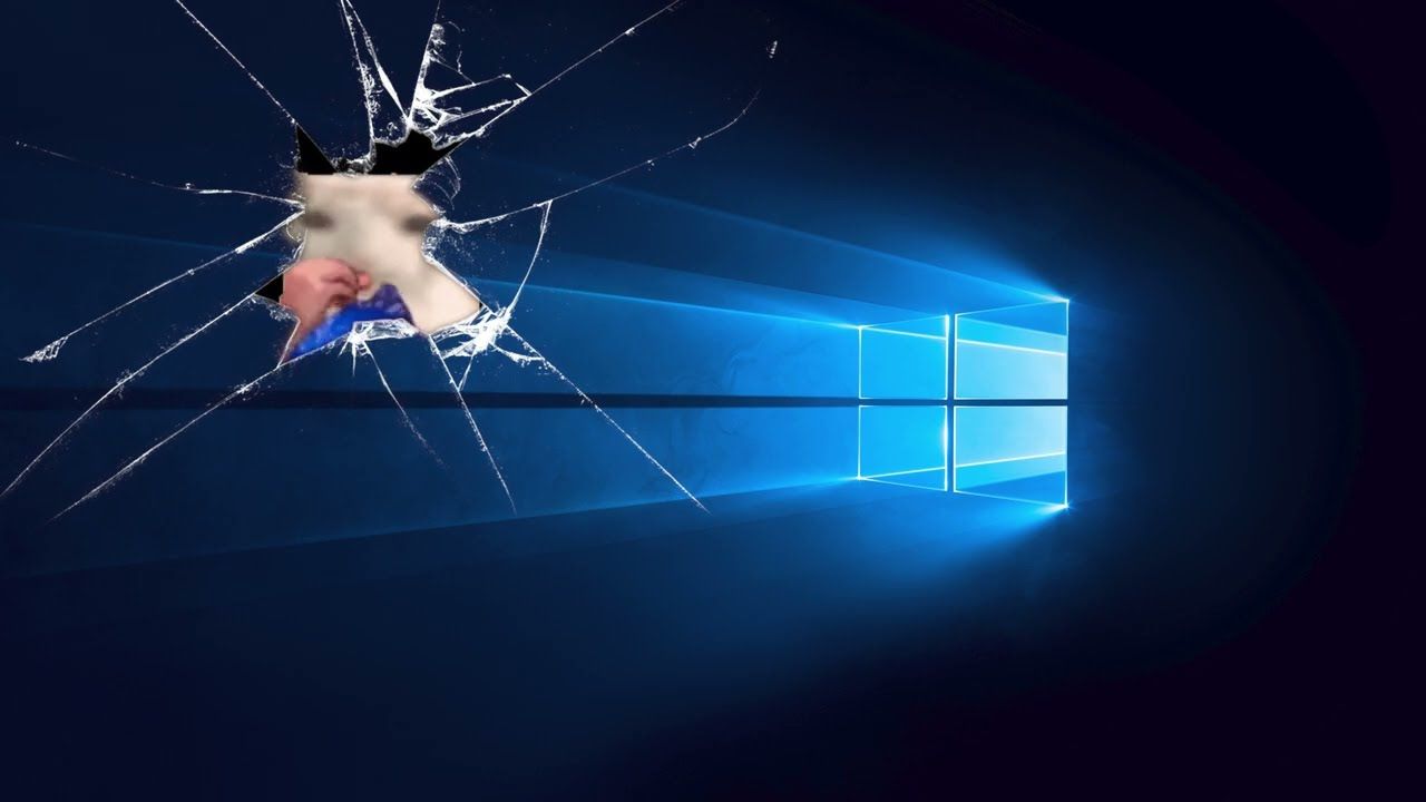 1280x720 cat eating a chipsdows 10 wallpaper