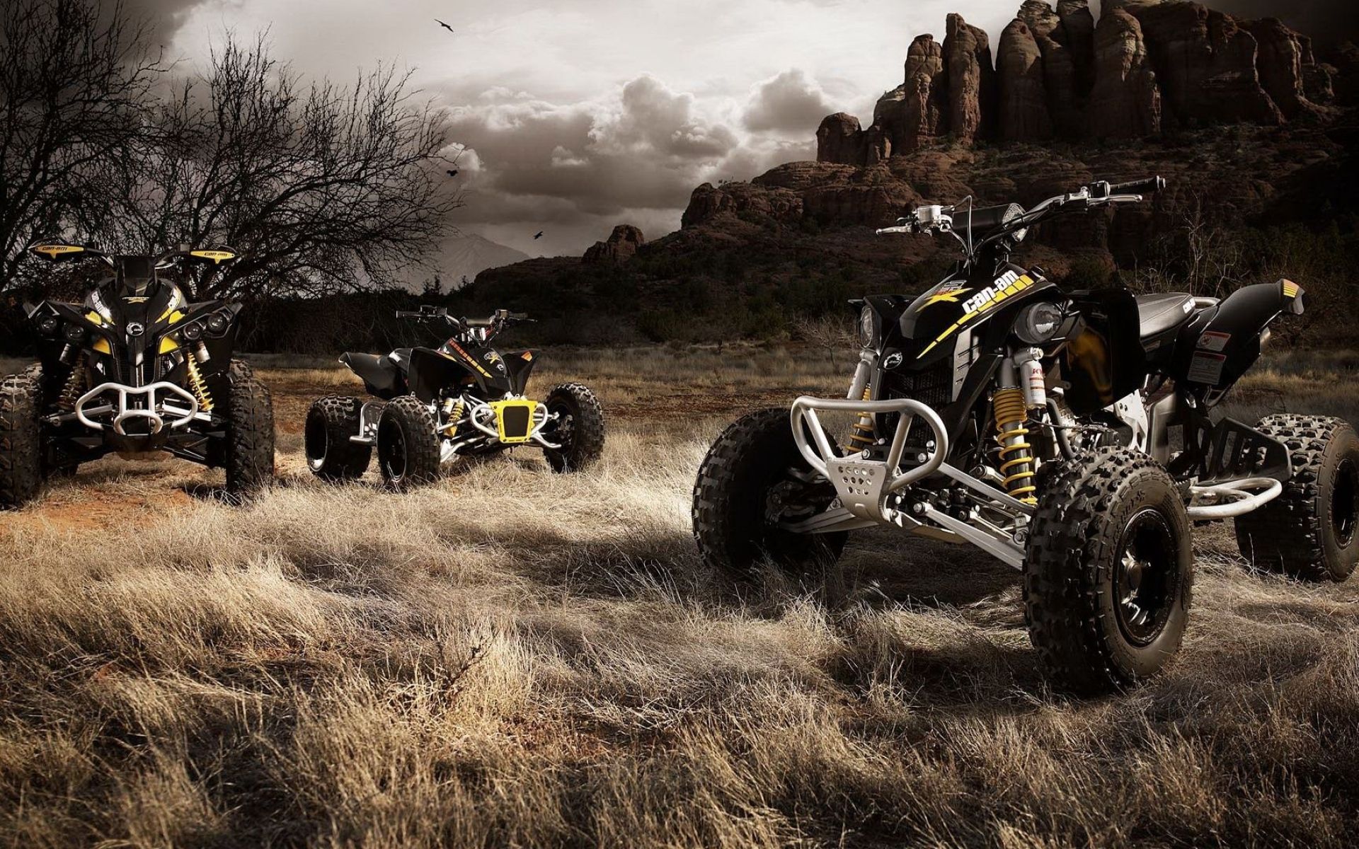 1920x1200 ATV Wallpaper
