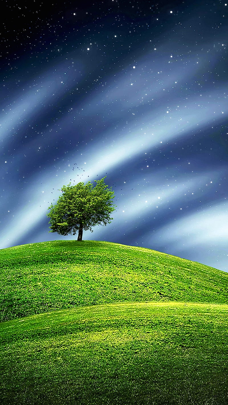 800x1422 Windows xp at night, AMAZING, bonito, clouds, dark, green, nature, sky, stars, HD phone wallpaper
