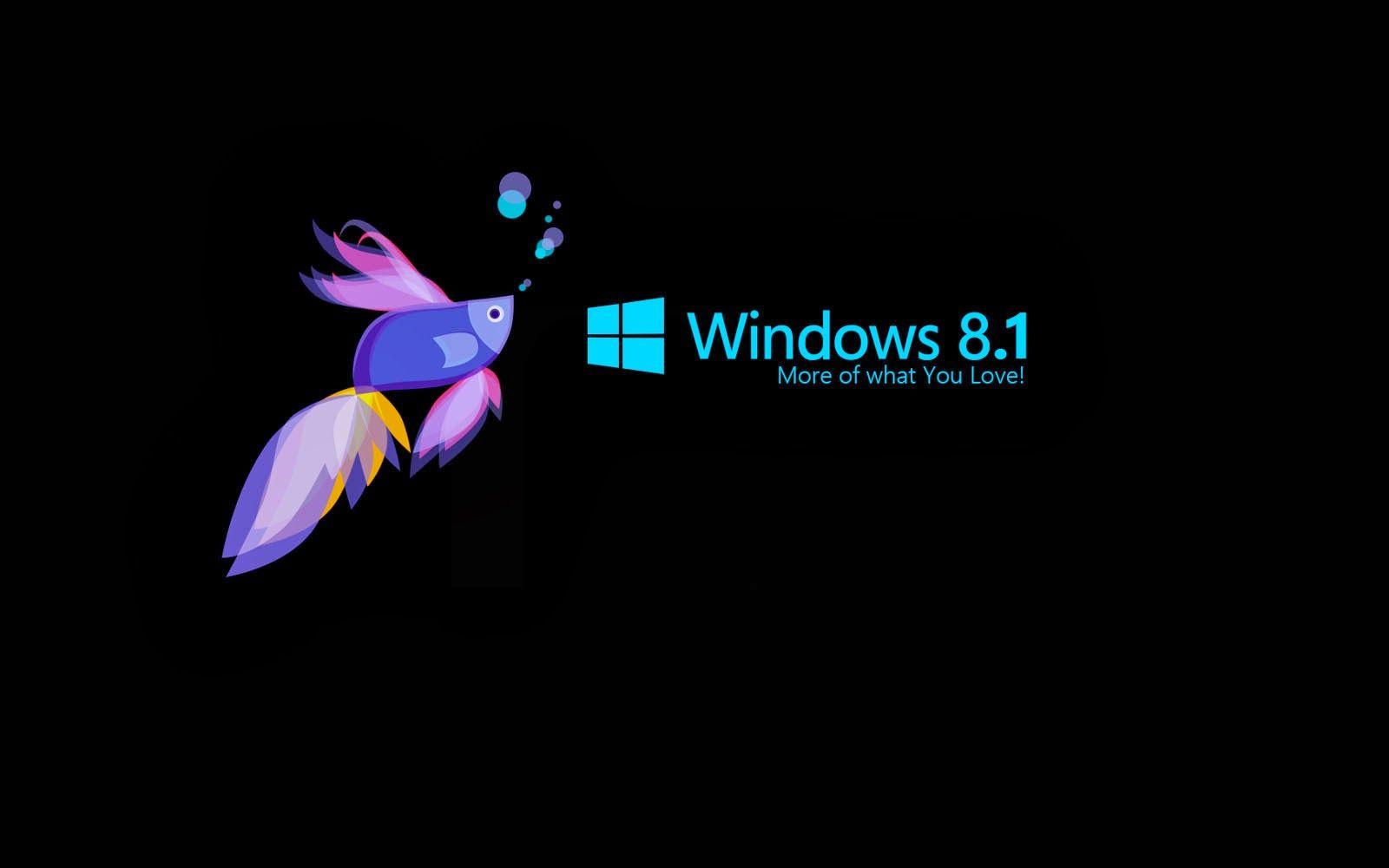 1600x1000 Cute Baby HD Wallpaper: Windows 8.1 Wallpaper