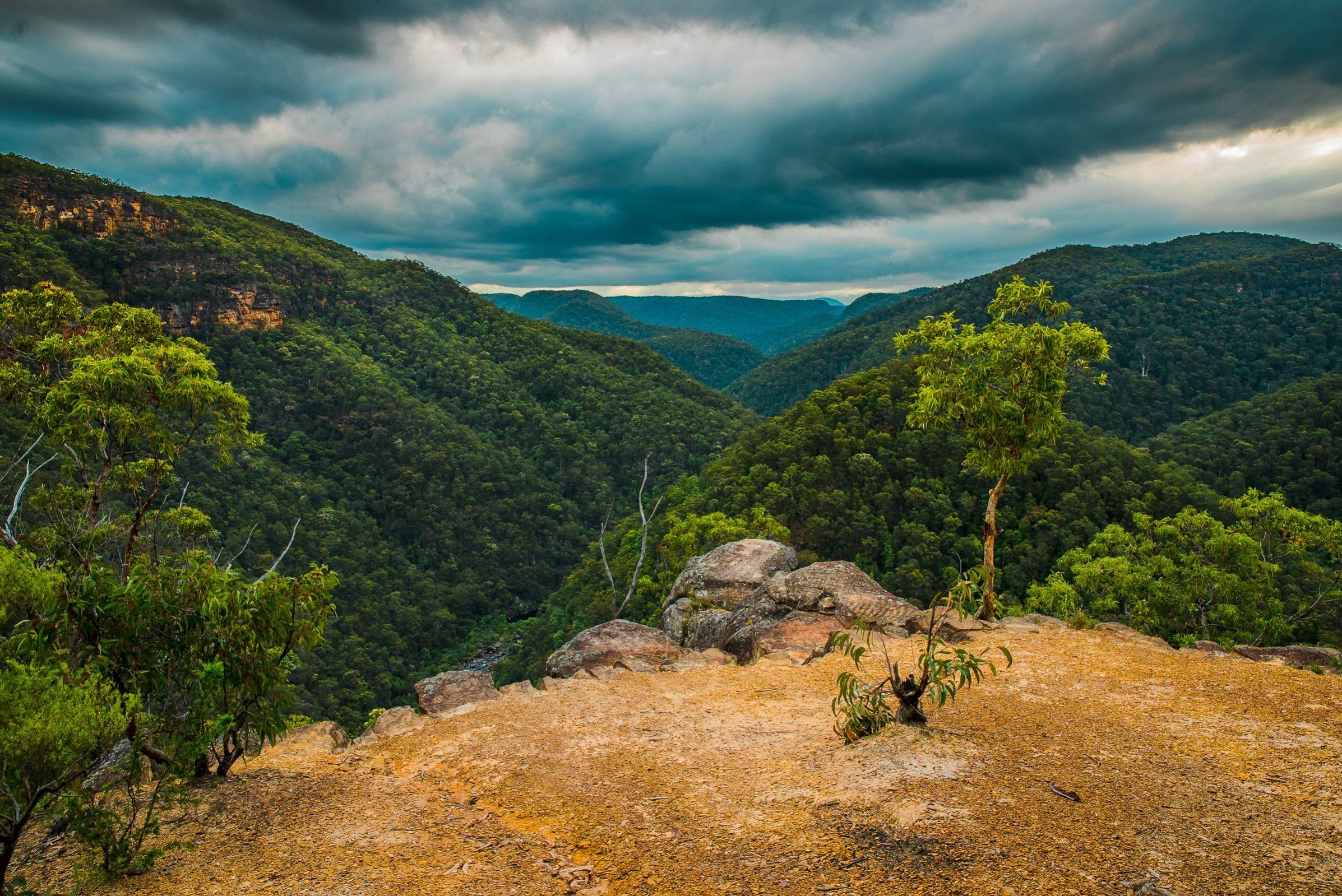 2394x1599 Blue Mountains Forest Vista