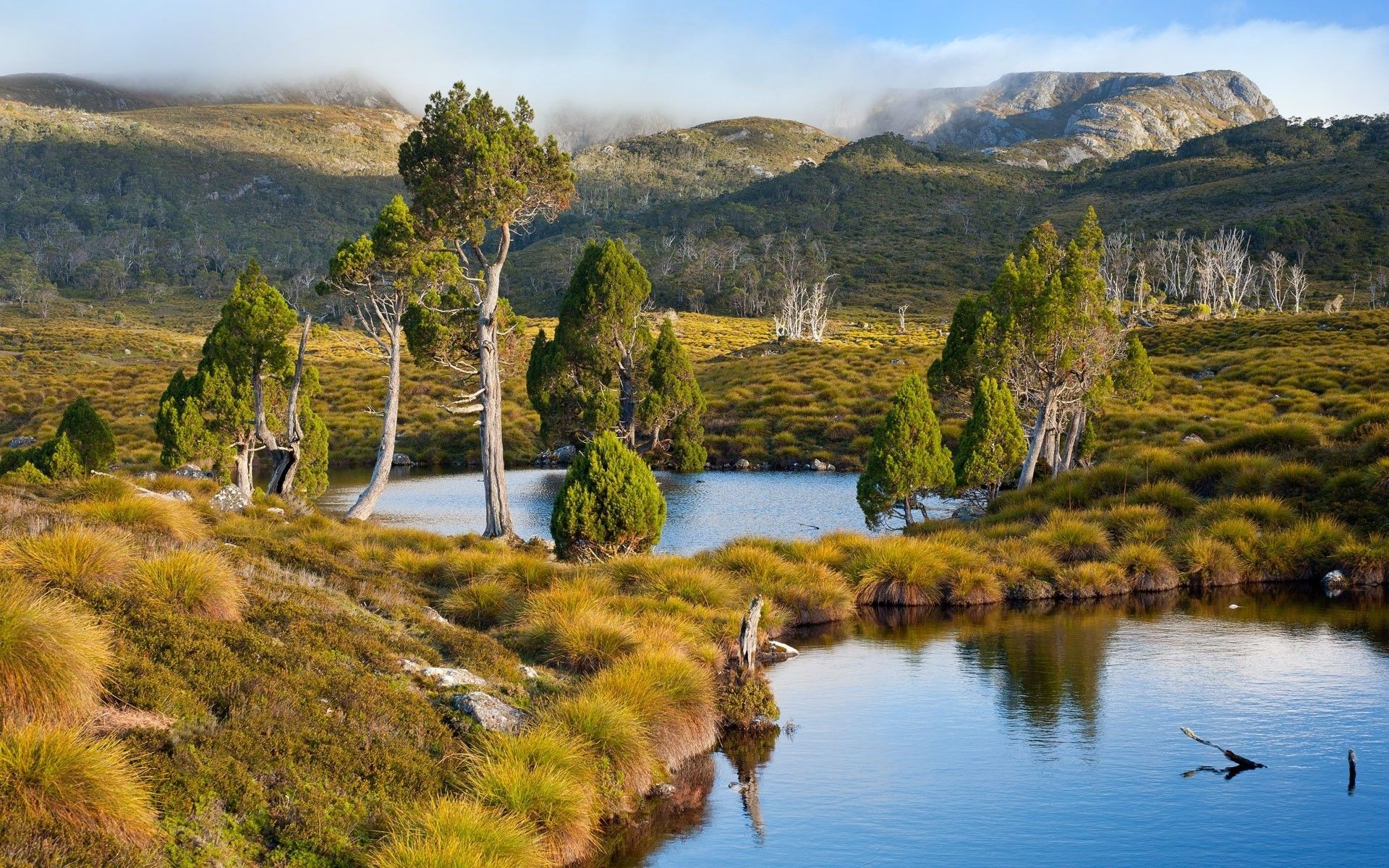 1920x1200 Tasmania, Australia, Lake, Mountain, Grass, Trees, Water, Shrubs, Nature, Landscape Wallpaper HD / Desktop and Mobile Background