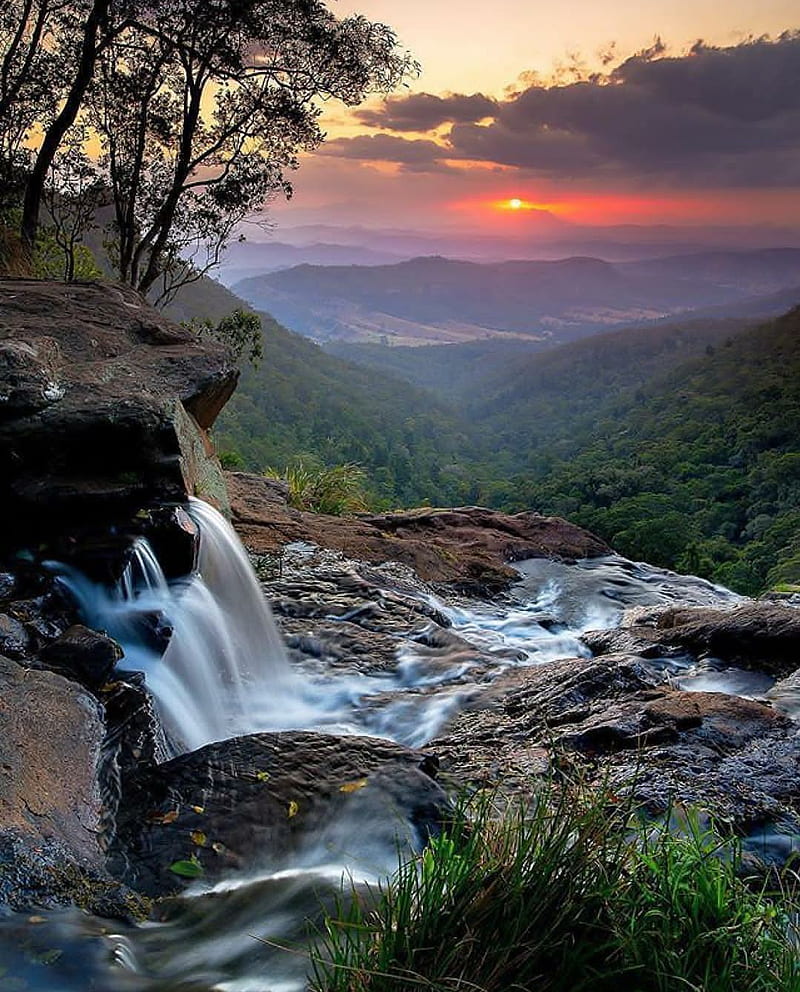 800x992 Nature beauty, australia, jungle, sunrise, sunset, HD phone wallpaper