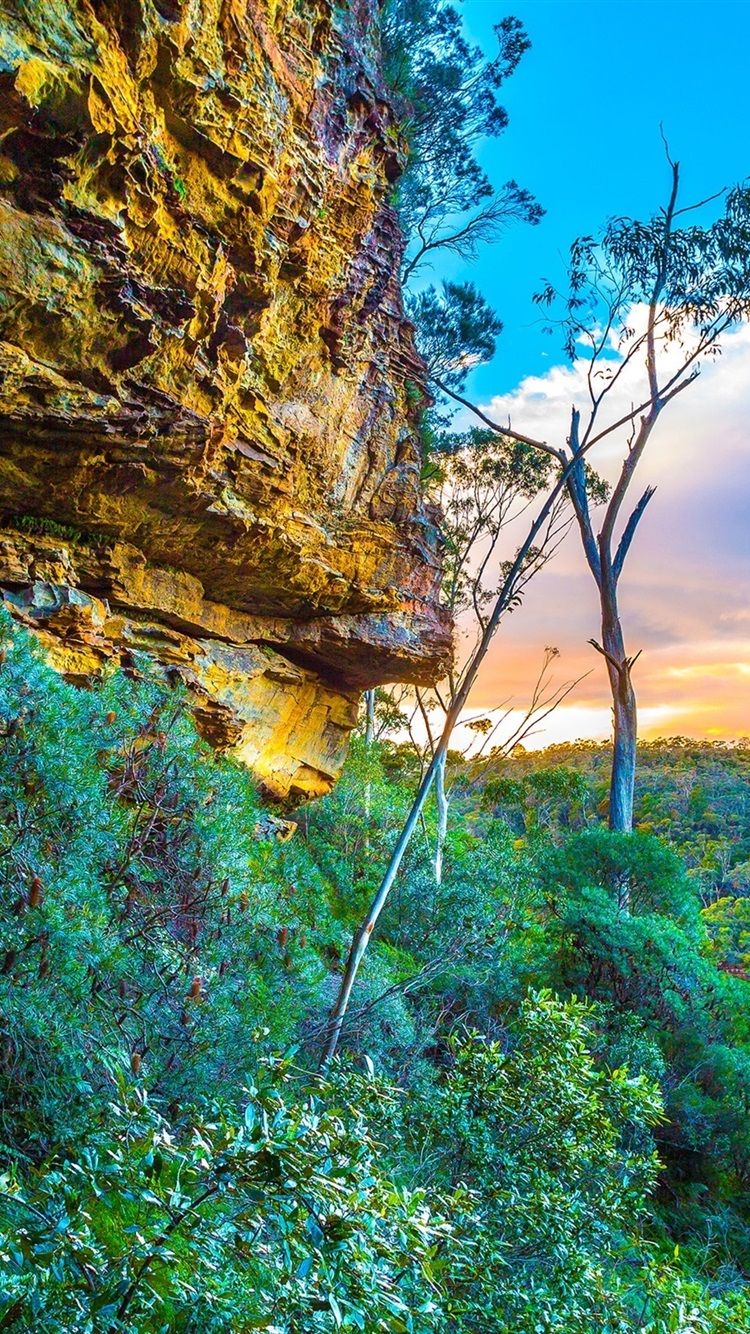 750x1334 Blue Mountains National Park, Australia, Rocks, Trees, Sky, Clouds, Sunset 750x1334 IPhone 8 7 6 6S Wallpaper, Background, Picture, Image