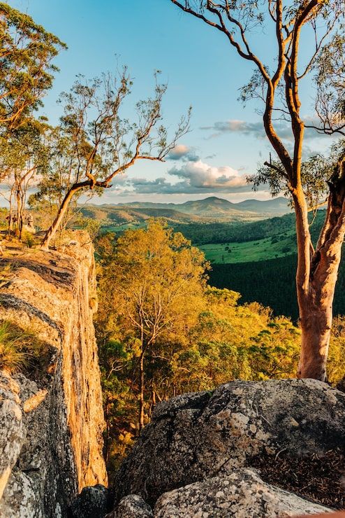 494x740 Australian nature wallpaper Image