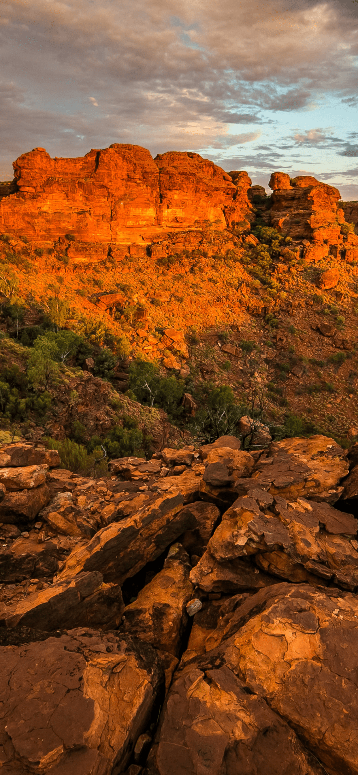 1242x2688 Australia Wallpaper for iPhone Pro Max, X, 6