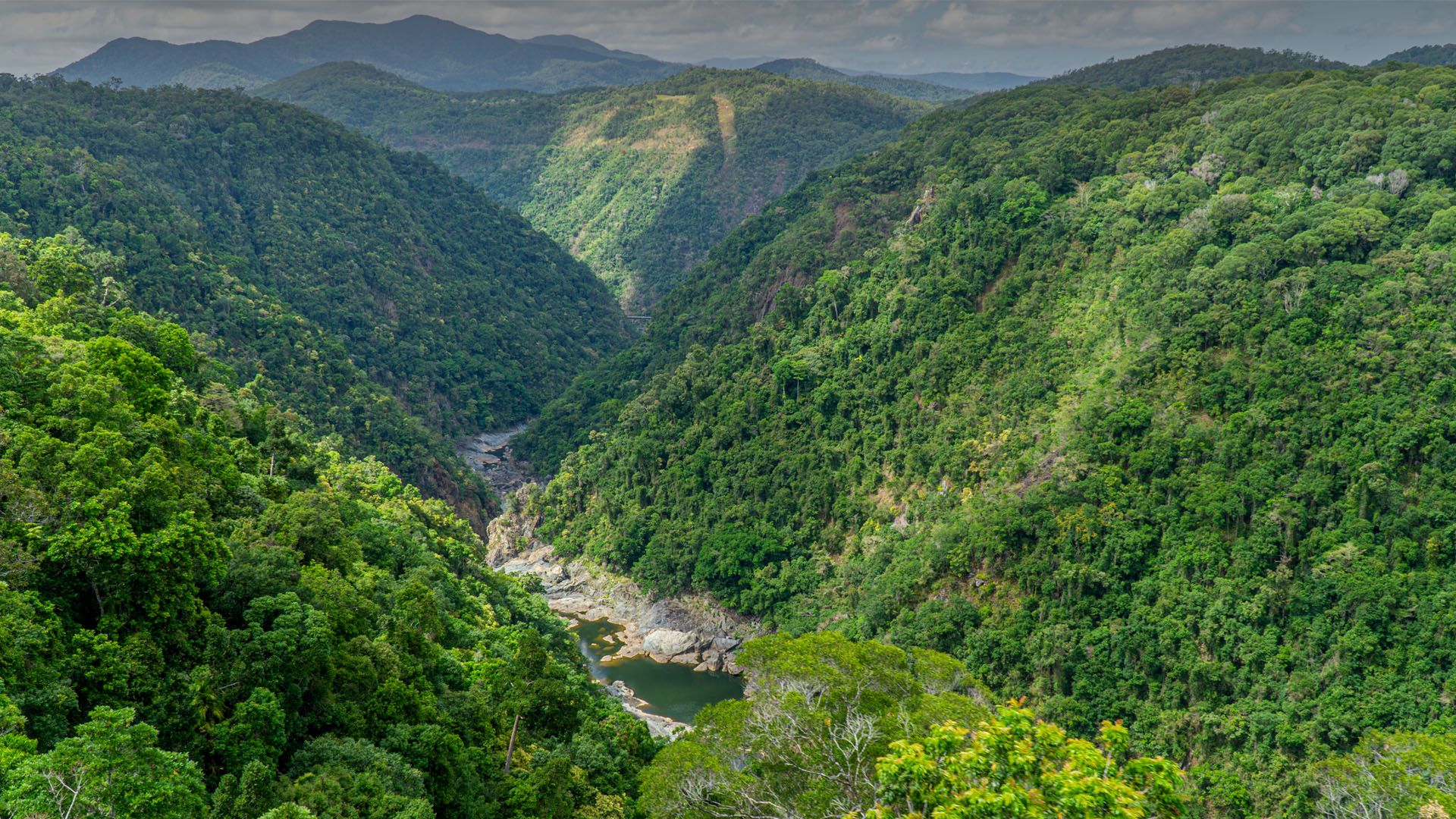 1920x1080 The Australian rainforest in the north of Australia near Cairns with green mountains. Windows Spotlight Image