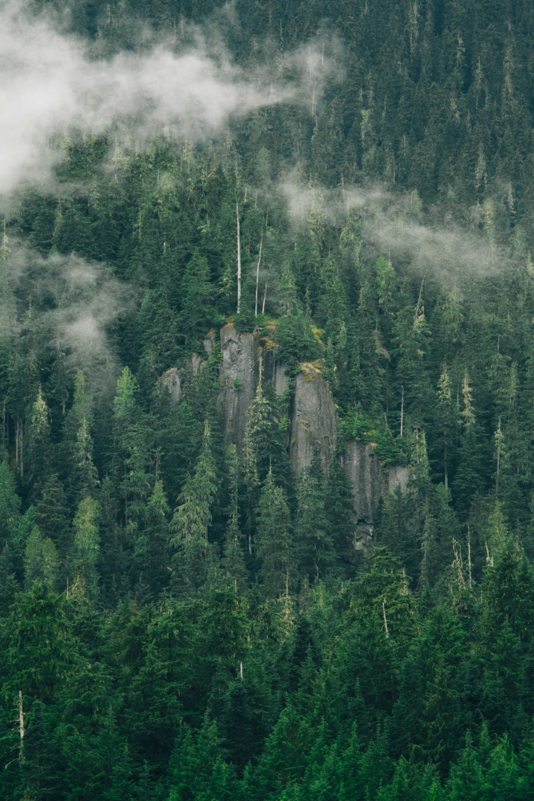 1800x2700 Moody Cliffs Edge Forest From Above