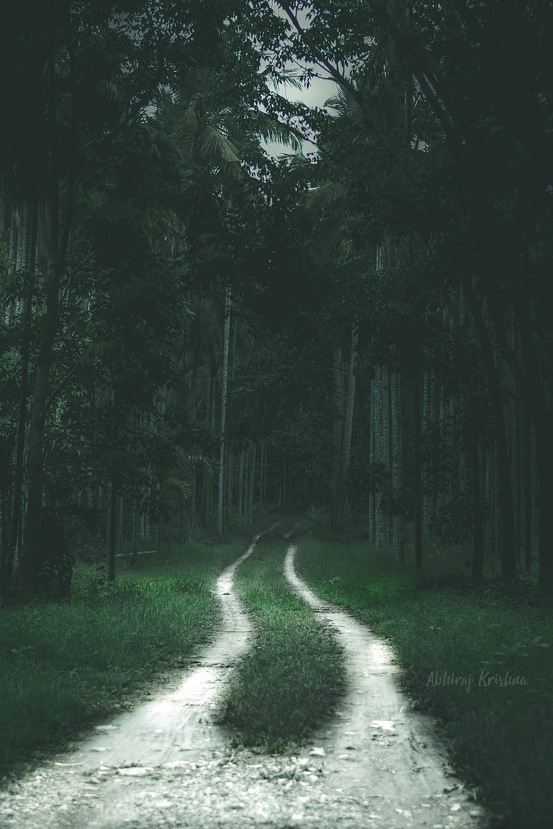 800x1200 Path Of Life, dark, forest, lovely, mood, moody, moodygram, road, white, woods, HD phone wallpaper