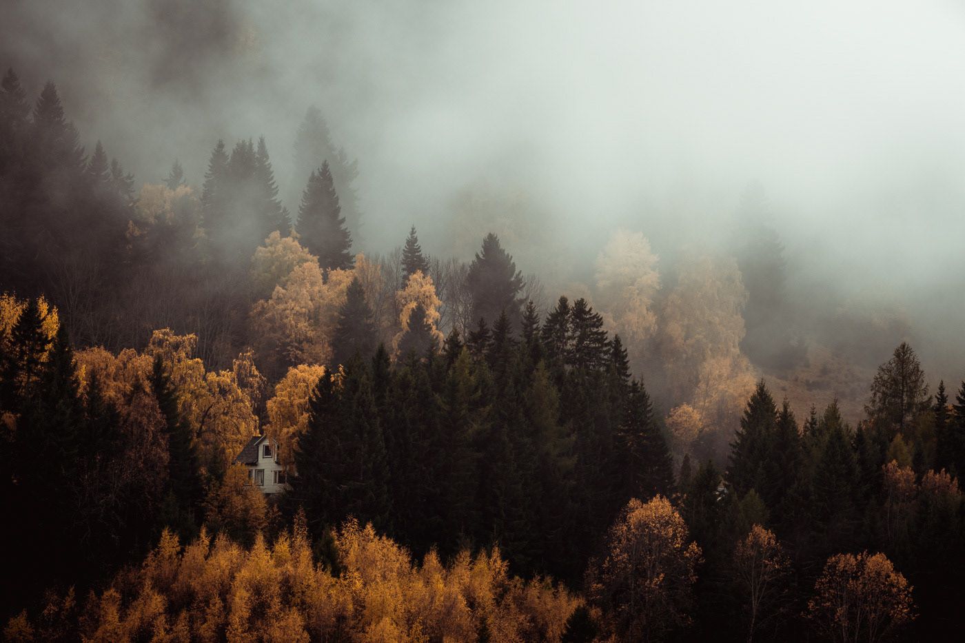 1400x933 FLEETING MOMENTS OF AUTUMN