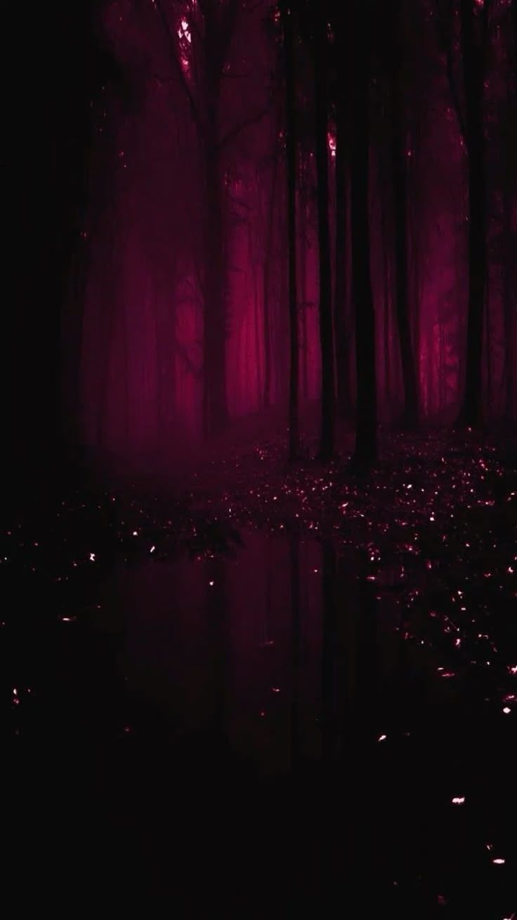 736x1308 Maroon Aesthetic Forest Wallpaper. Dark forest with red glow, Halloween background ideas, Moody forest photography