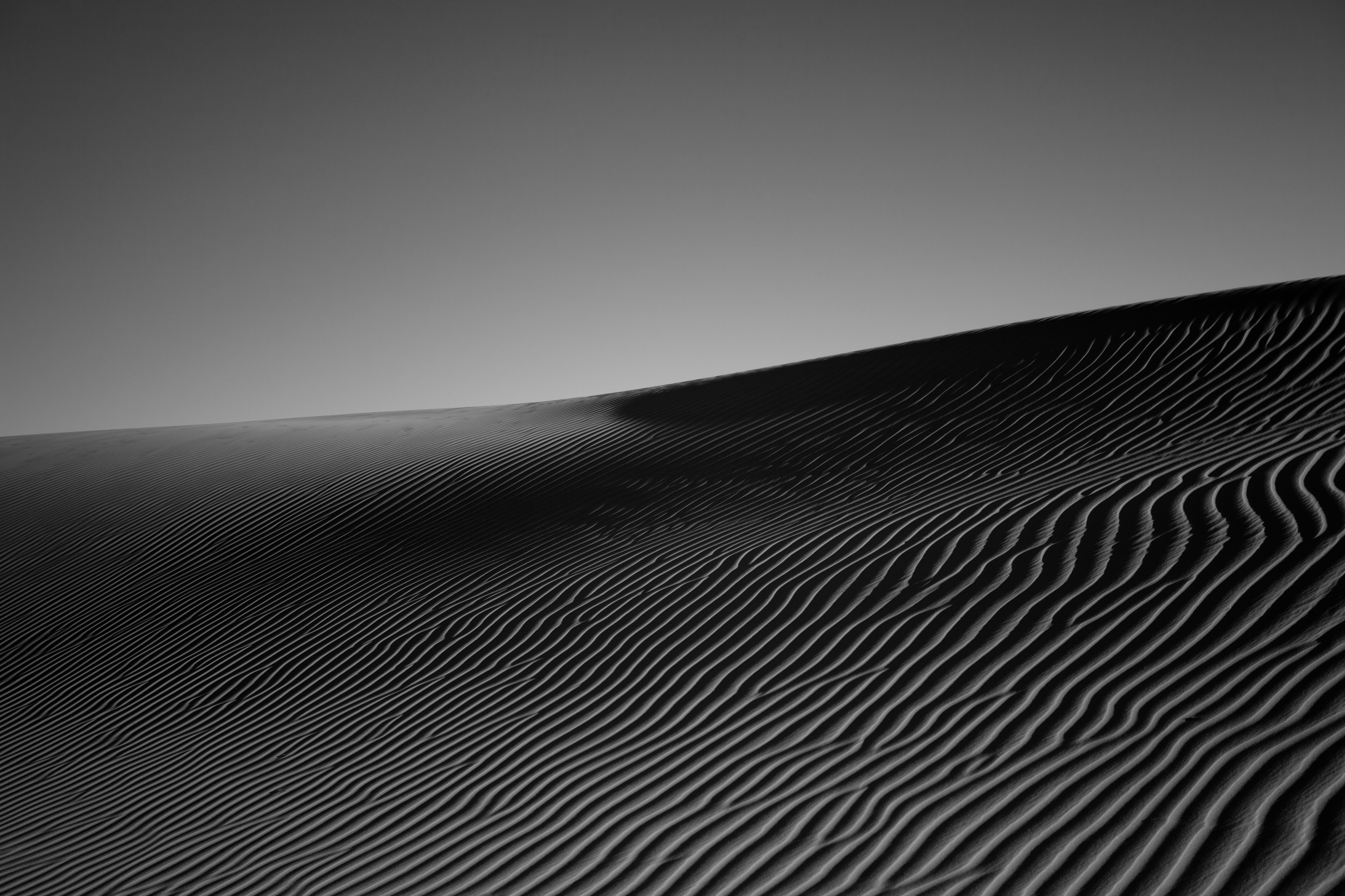 5616x3744 Download Black & White Africa Algeria Sand Dune Sahara Sand Nature Desert 4k Ultra HD Wallpaperx3744