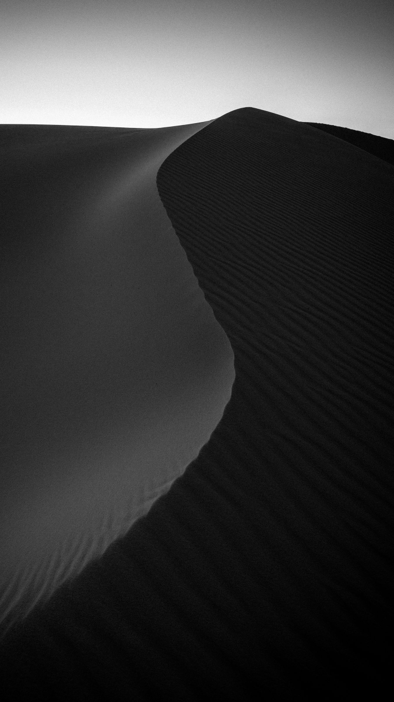1350x2400 Download wallpaper 1350x2400 desert, dunes, sand, bw iphone 8+/7+/6s+/for parallax HD background