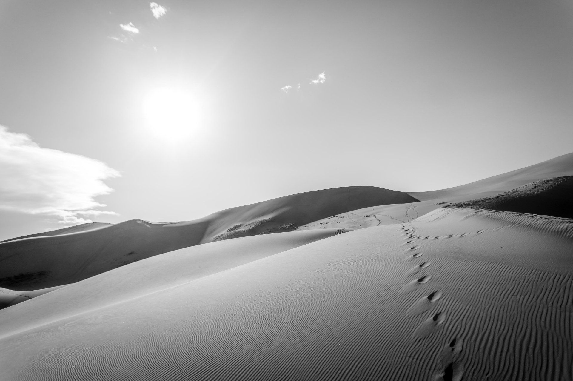 1920x1276 Desert Footprints in Black & White: 4K Ultra HD Sand Dune Panorama