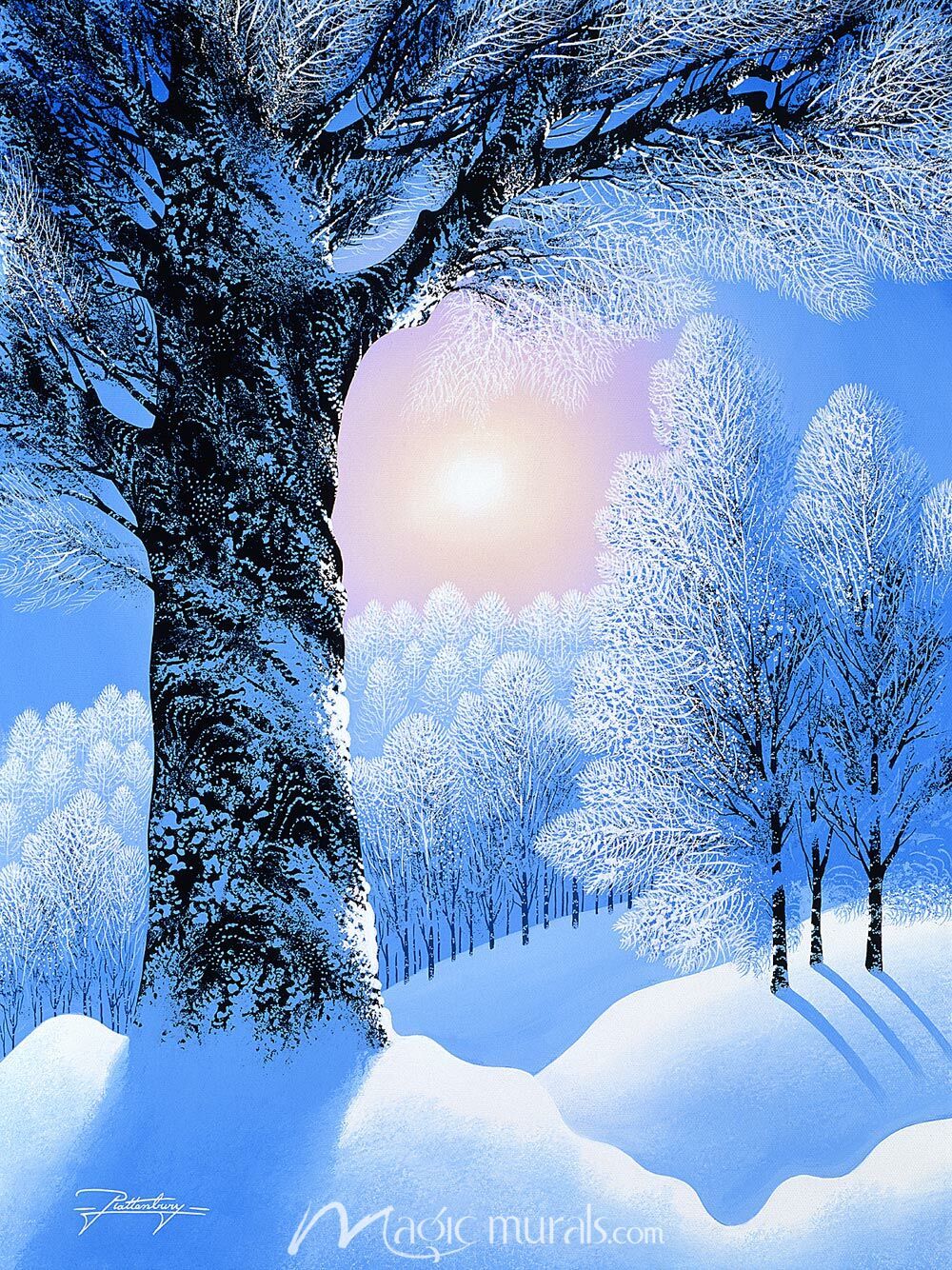 1000x1334 Warm Winter Sun