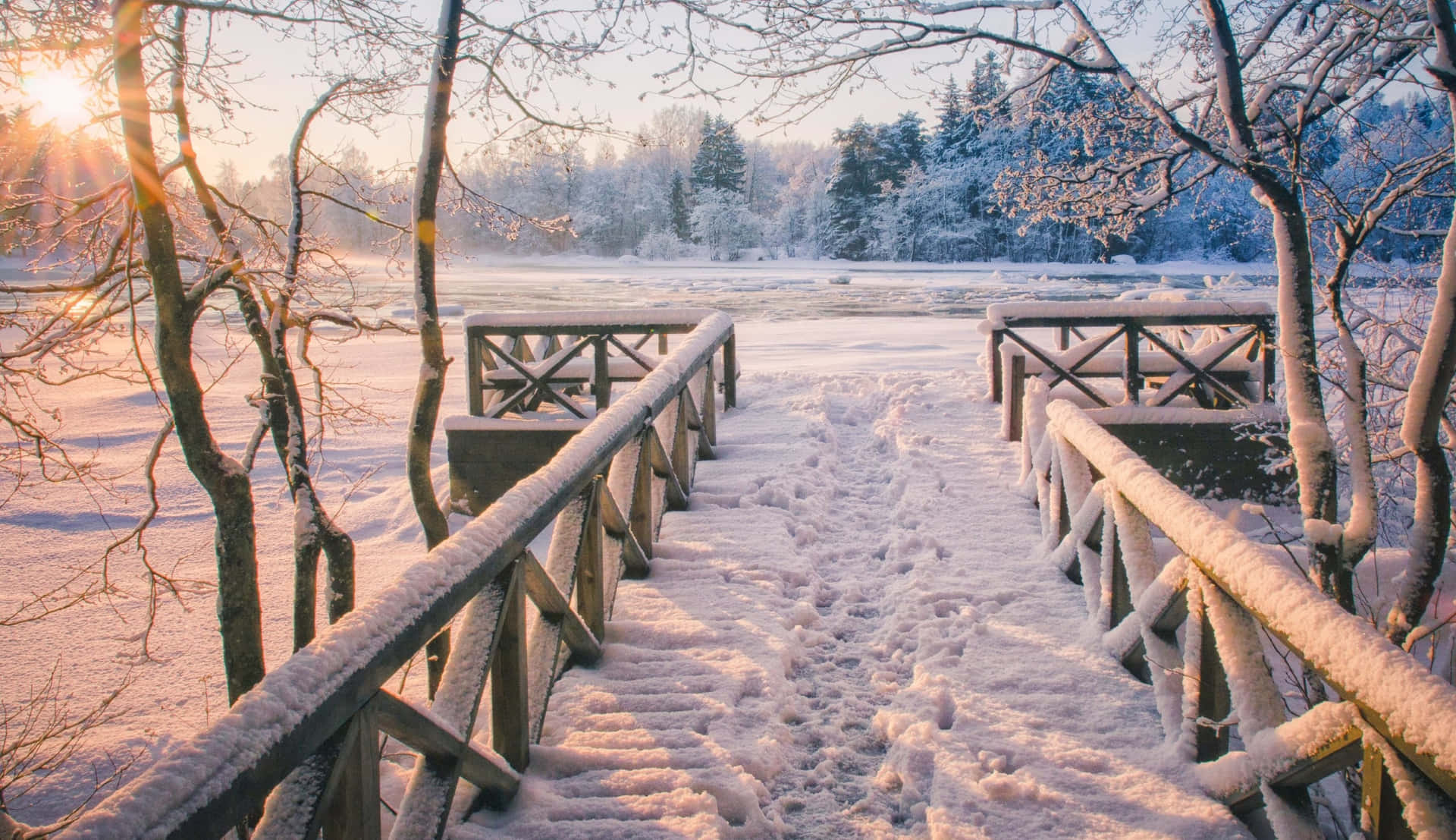1920x1107 Download Winter Sun Shining Through Snowy Trees Wallpaper