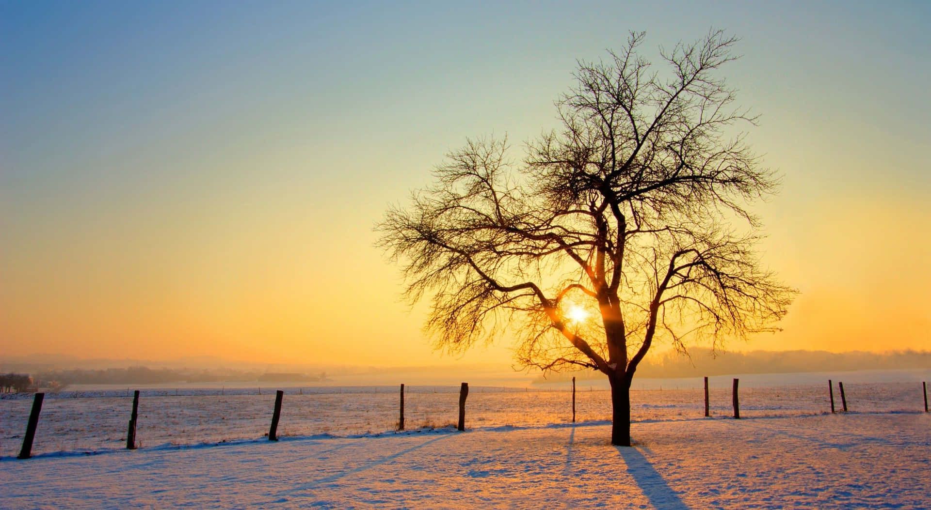 1920x1053 Download Caption: Breathtaking Winter Sun Landscape Wallpaper