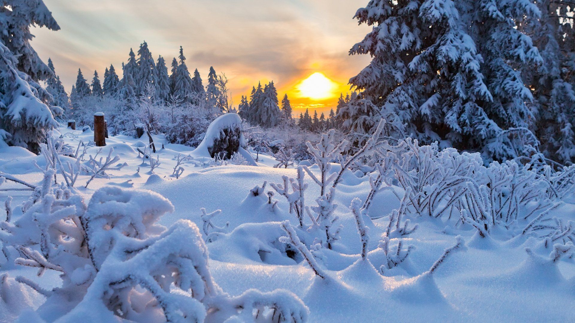1920x1080 Download Sunset Tree Snow Nature Winter Winter Sunset HD Wallpaperx1080