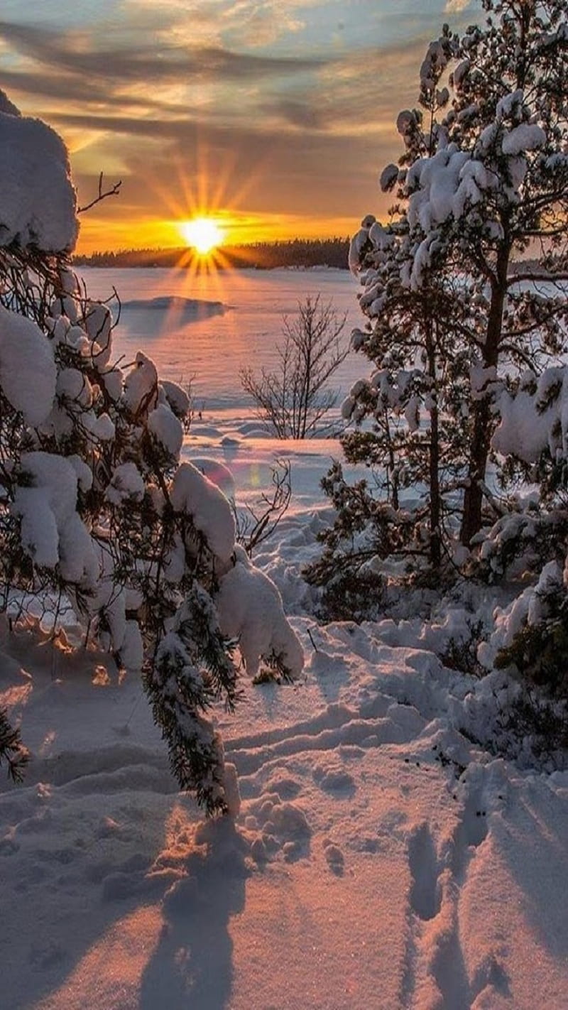 800x1422 Winter, snow, sun, HD phone wallpaper