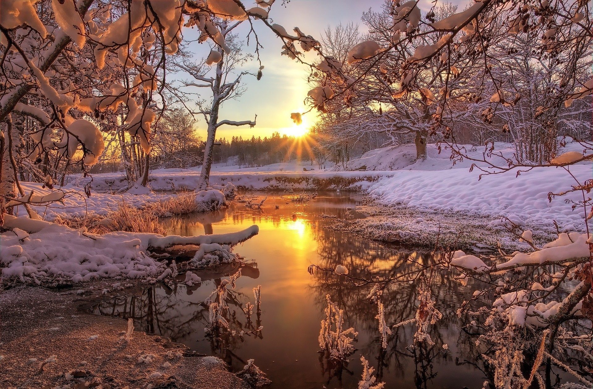 1920x1260 Phone wallpaper: Snow, Winter, Sun, Earth, Sunset, Tree 665700