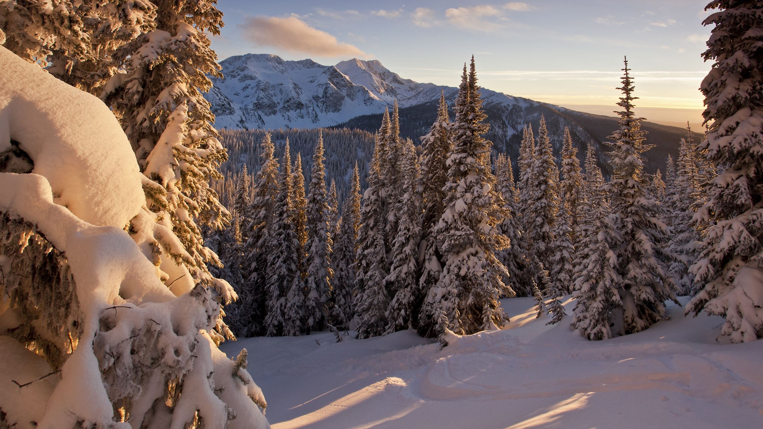 2560x1440 Low Winter Sun MacBook Air Wallpaper Download