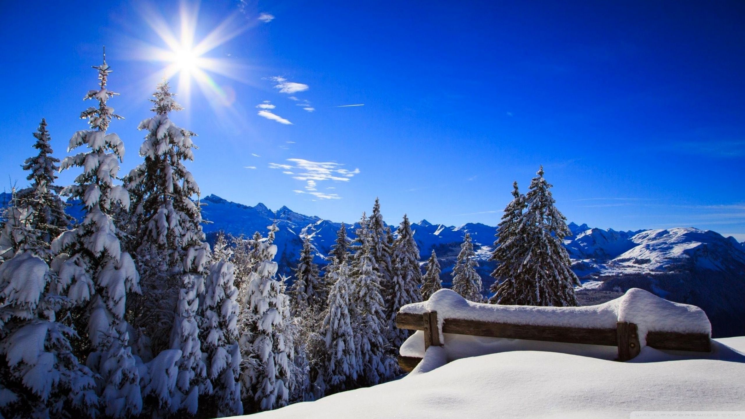 2560x1440 Forest Bench Winter Sun 4K UHD Wallpaper for UltraHD Desktop and TV : Smartphone and Tablet Devices