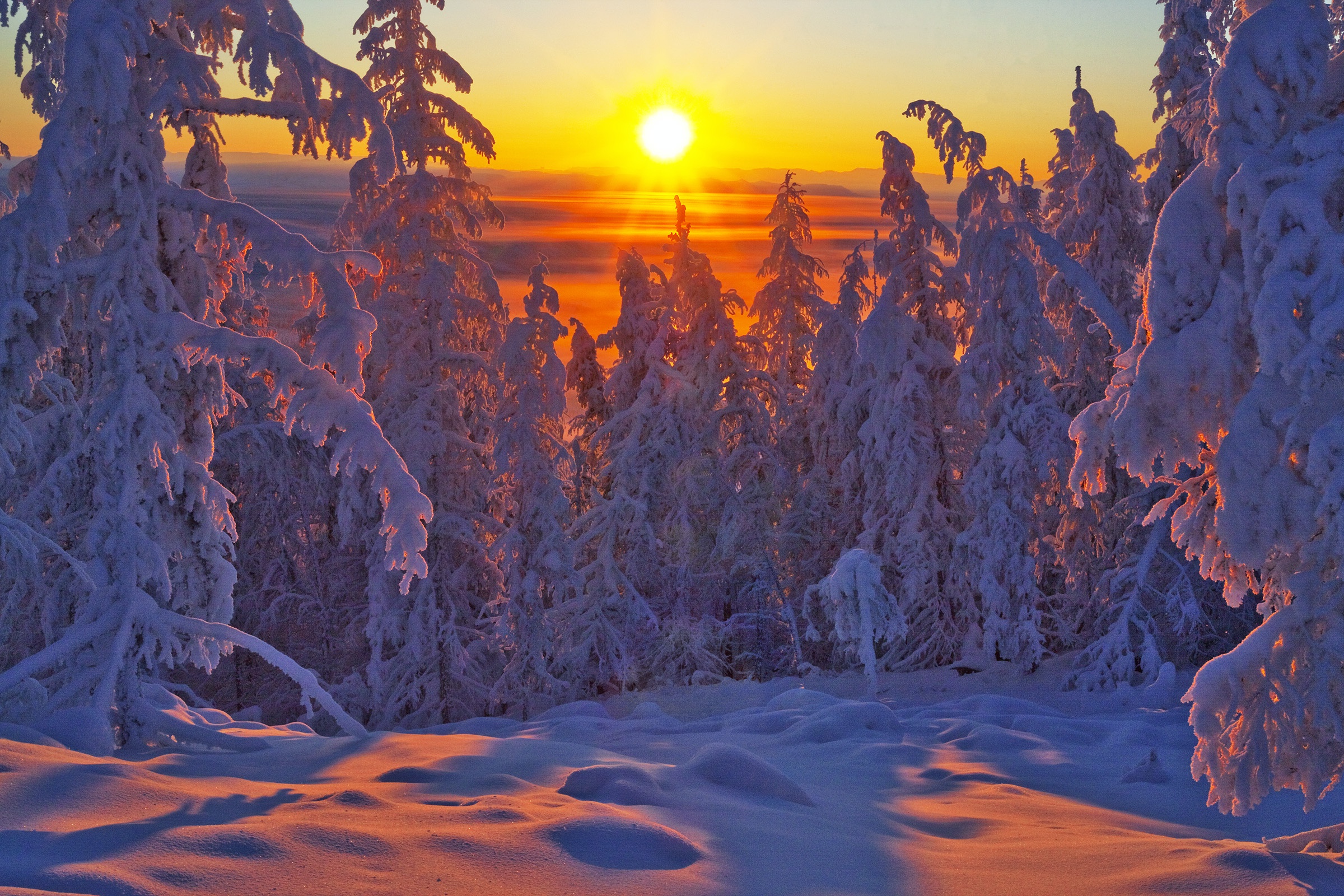 2400x1600 Wallpaper winter, forest, snow, trees, sunset, ate, Russia, Yakutia for mobile and desktop, section природа, resolution 2400x1600