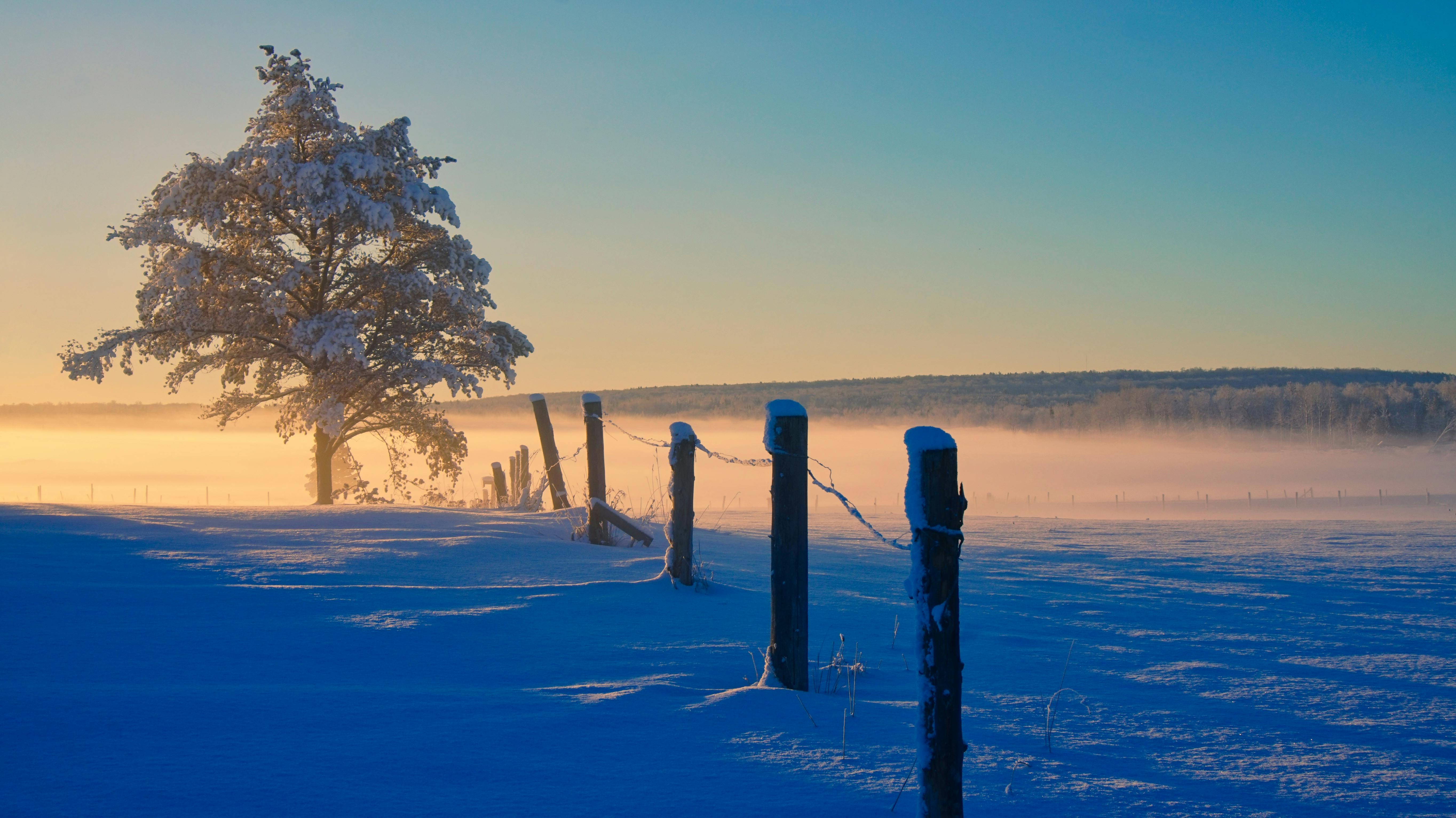 5456x3064 Snow Covered Stone Wall In Winter Sunlight · Free