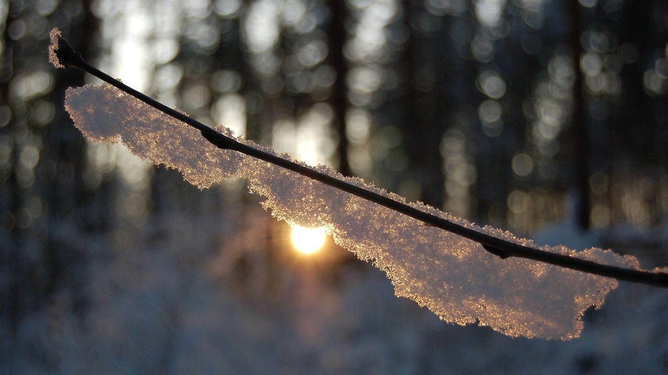 1366x768 Warm Winter Sun Winter Snow Scenes Wallpaper
