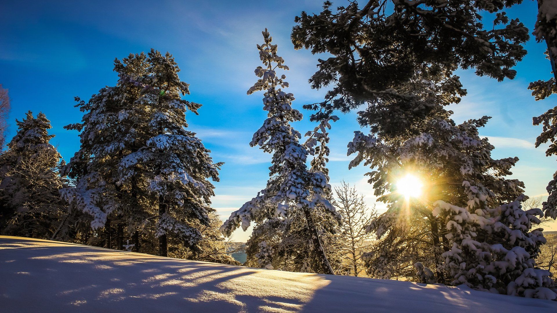 1920x1080 Download Snow Sun Forest Nature Winter 4k Ultra HD Wallpaperx2160
