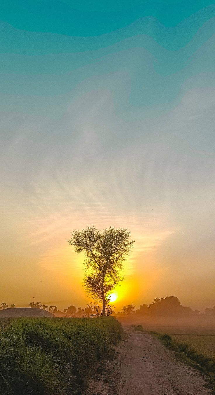 736x1352 Village sunset aesthetic mobile Wallpaper