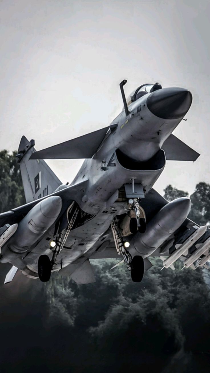 736x1308 Pakistan Air Force J 10C Vigorous Dragon