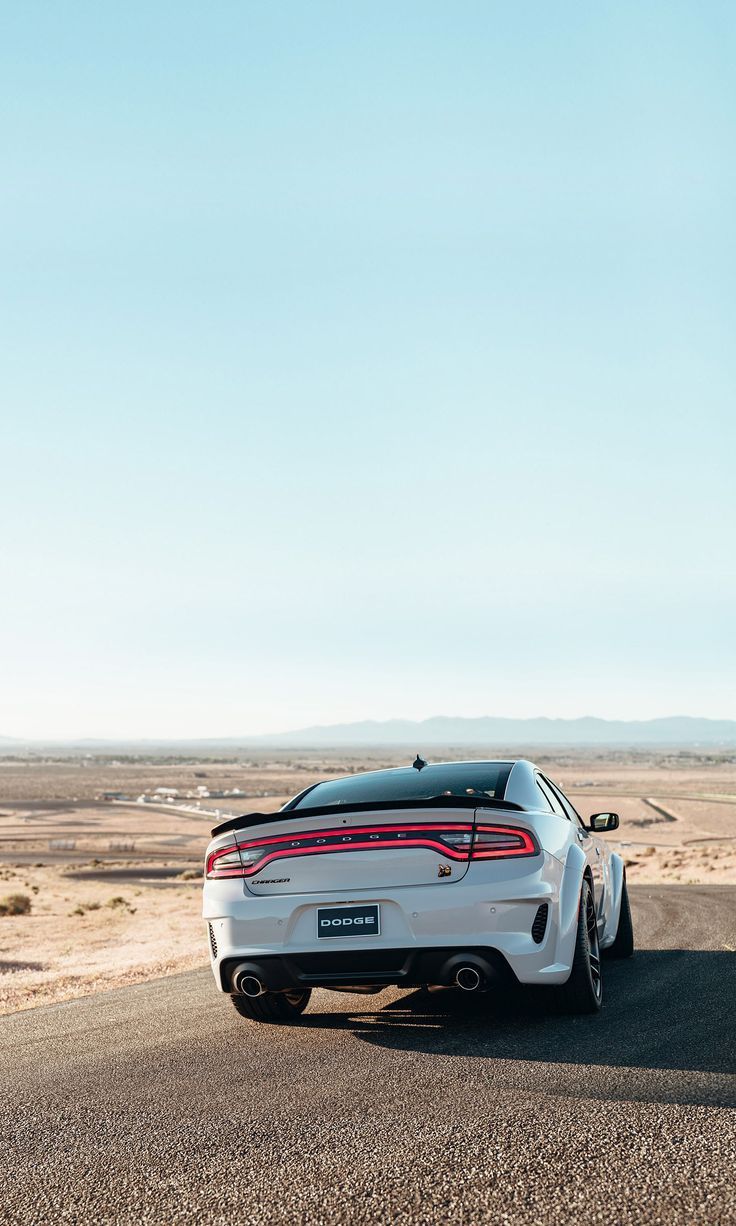 736x1226 Dodge Charger Scat Pack Widebody