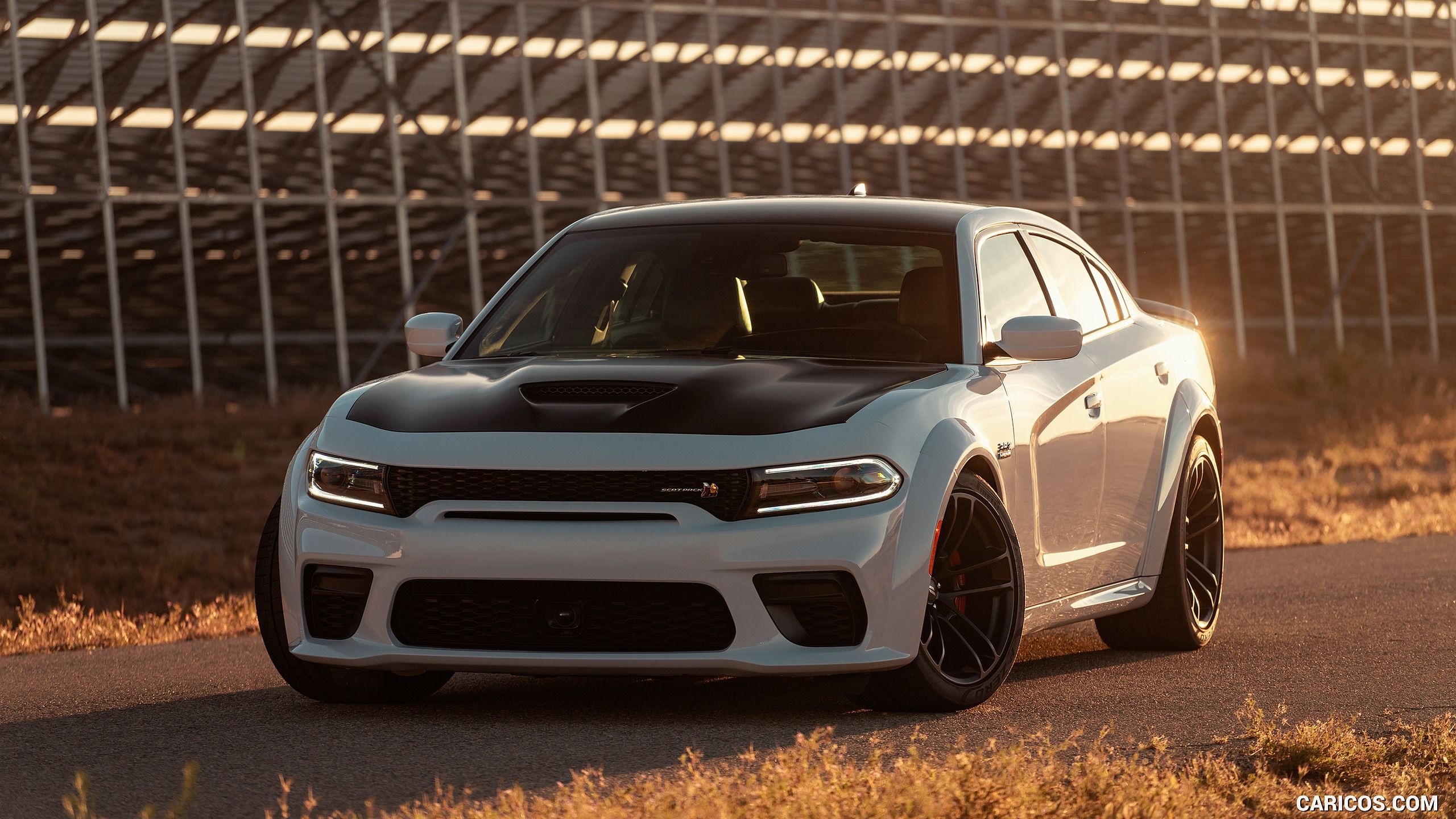 2560x1440 Dodge Charger Scat Pack WidebodyMY