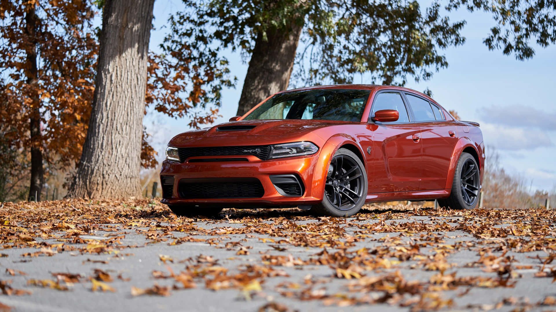 1920x1080 Download The 2019 Dodge Charger Srt Parked In The Fall Wallpaper