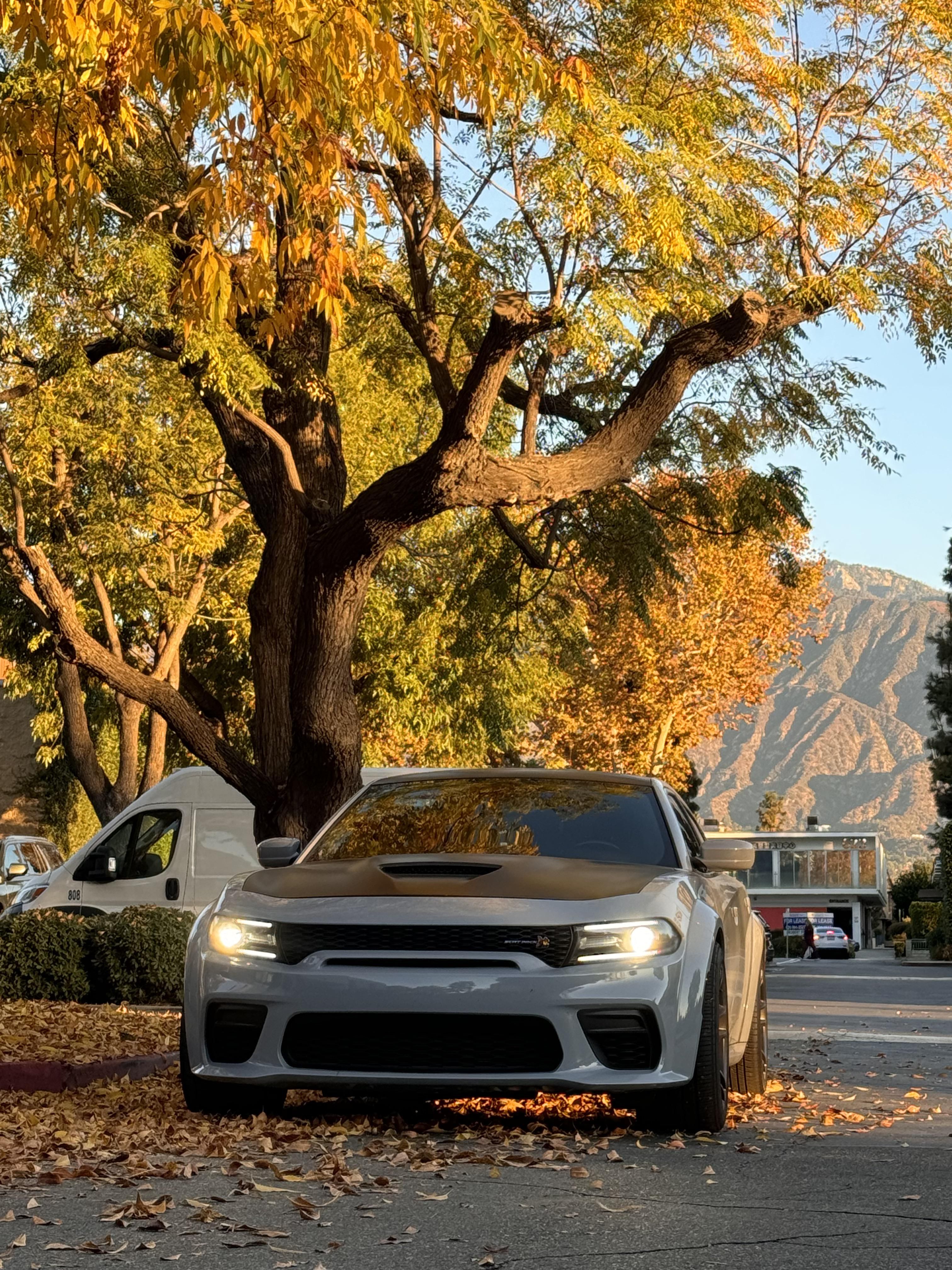 3024x4032 My beautiful Scat pack Charger widebody