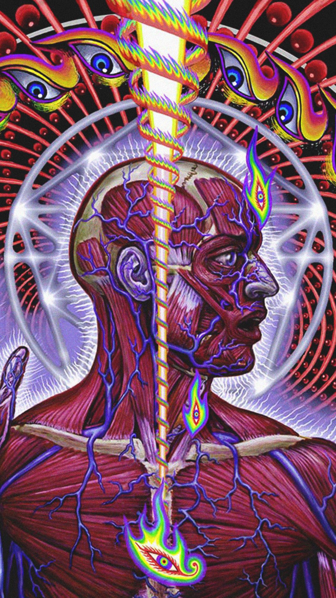 1080x1920 Lateralus Phone Wallpaper (1080x1920)
