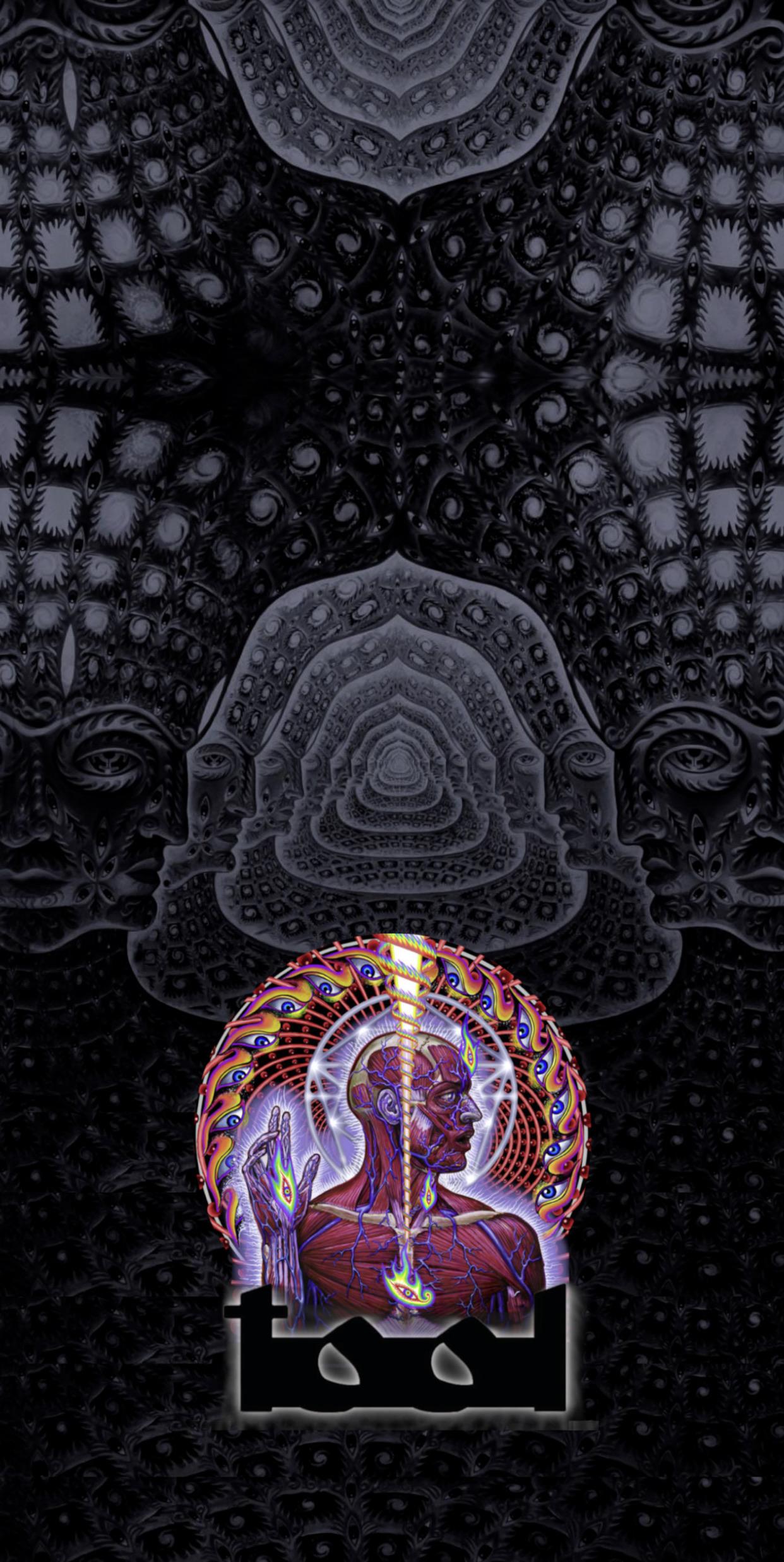 1242x2474 Lateralus/ 1000 days wallpaper
