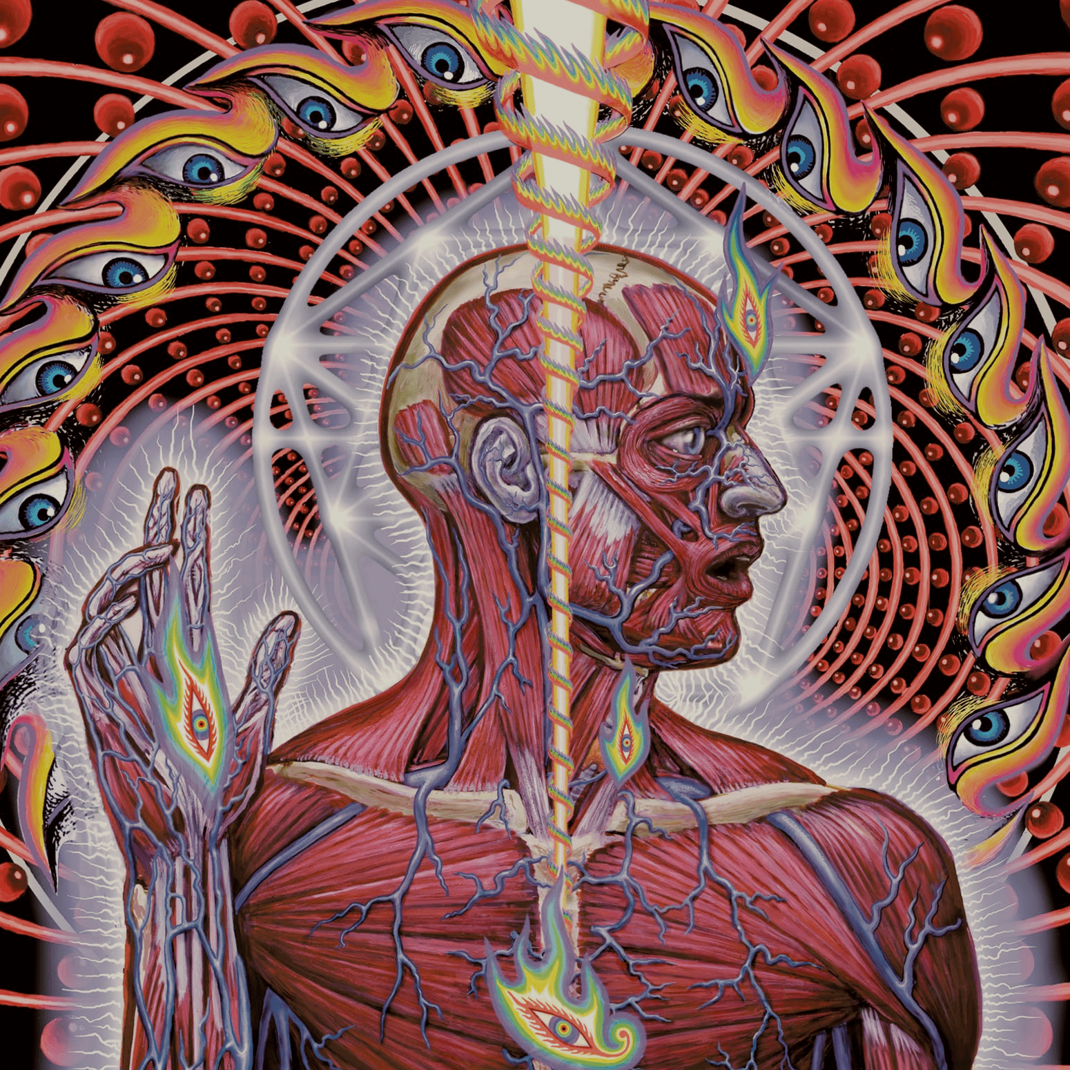 1550x1550 I remade the Lateralus album cover in HD. There wasn't anything good on Google, so I made my own. Hope you like it