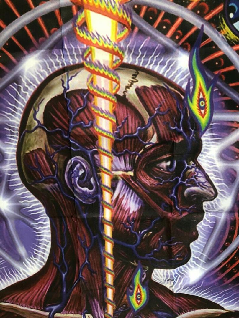 810x1080 Nba Youngboy Posters TOOL Lateralus Album Art Huge 4x4 Foot Fabric Poster