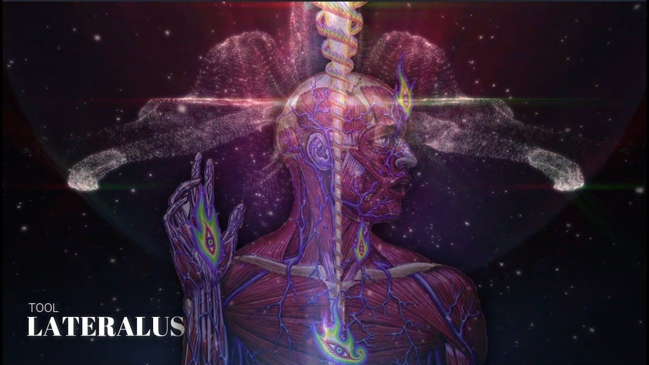 1280x720 TOOL (Cover Audio) Video LYRICS (Sub Español)