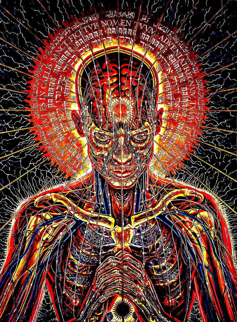 800x1087 The Inner Me, alex grey, tool, tool band, HD phone wallpaper