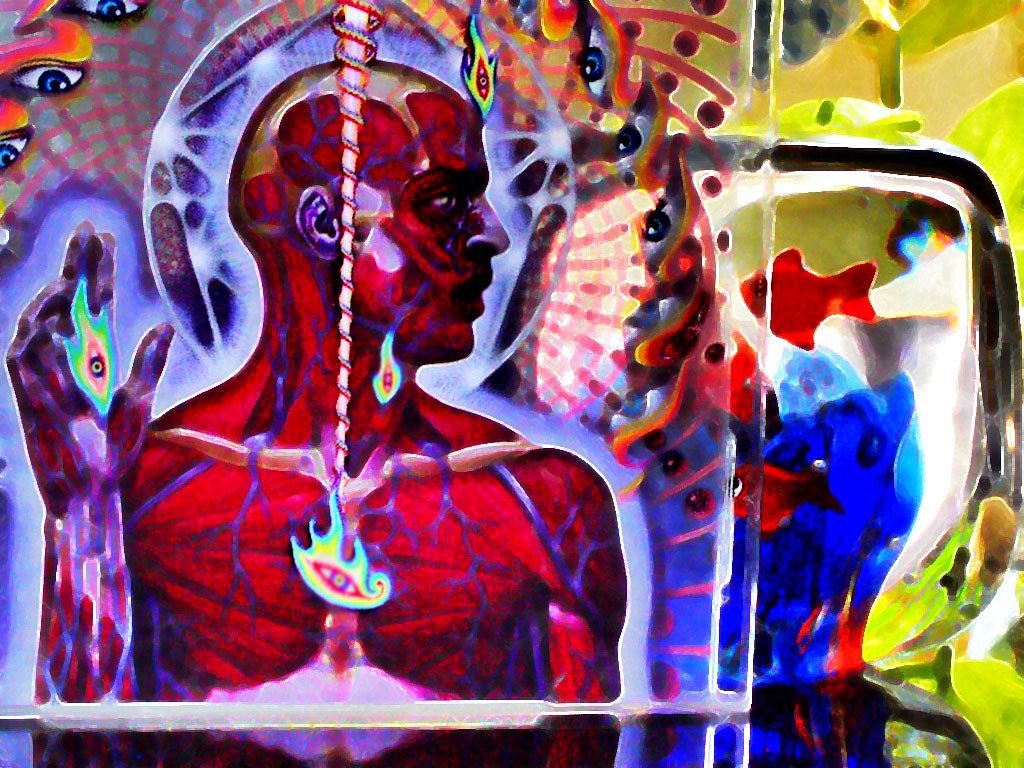 1024x768 Lateralus on Windowsill. Image made with photo of Tool's La