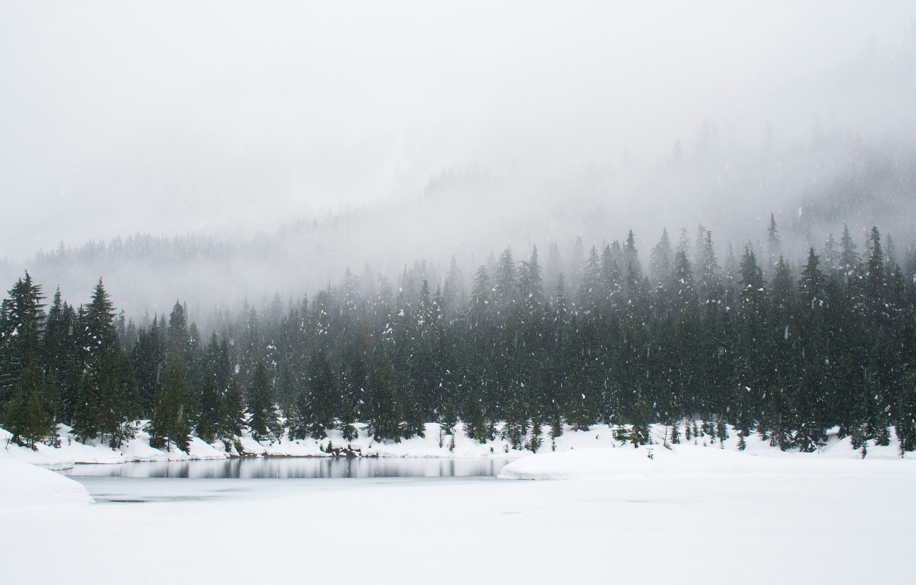 3000x1917 Snow Wallpaper: Free HD Download [HQ]